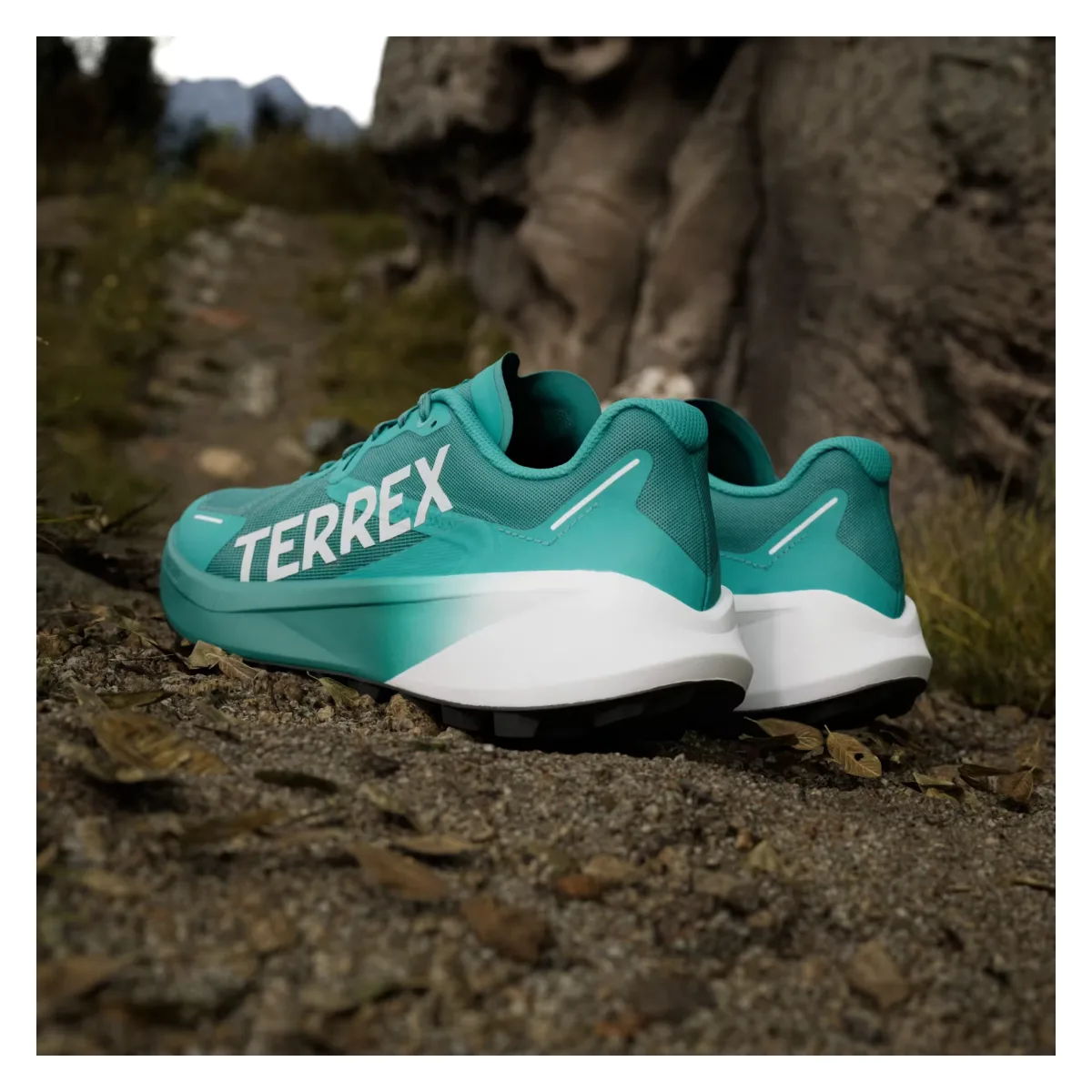 adidas Terrex Agravic 3 Trail Pure Teal Dash Grey Core Black