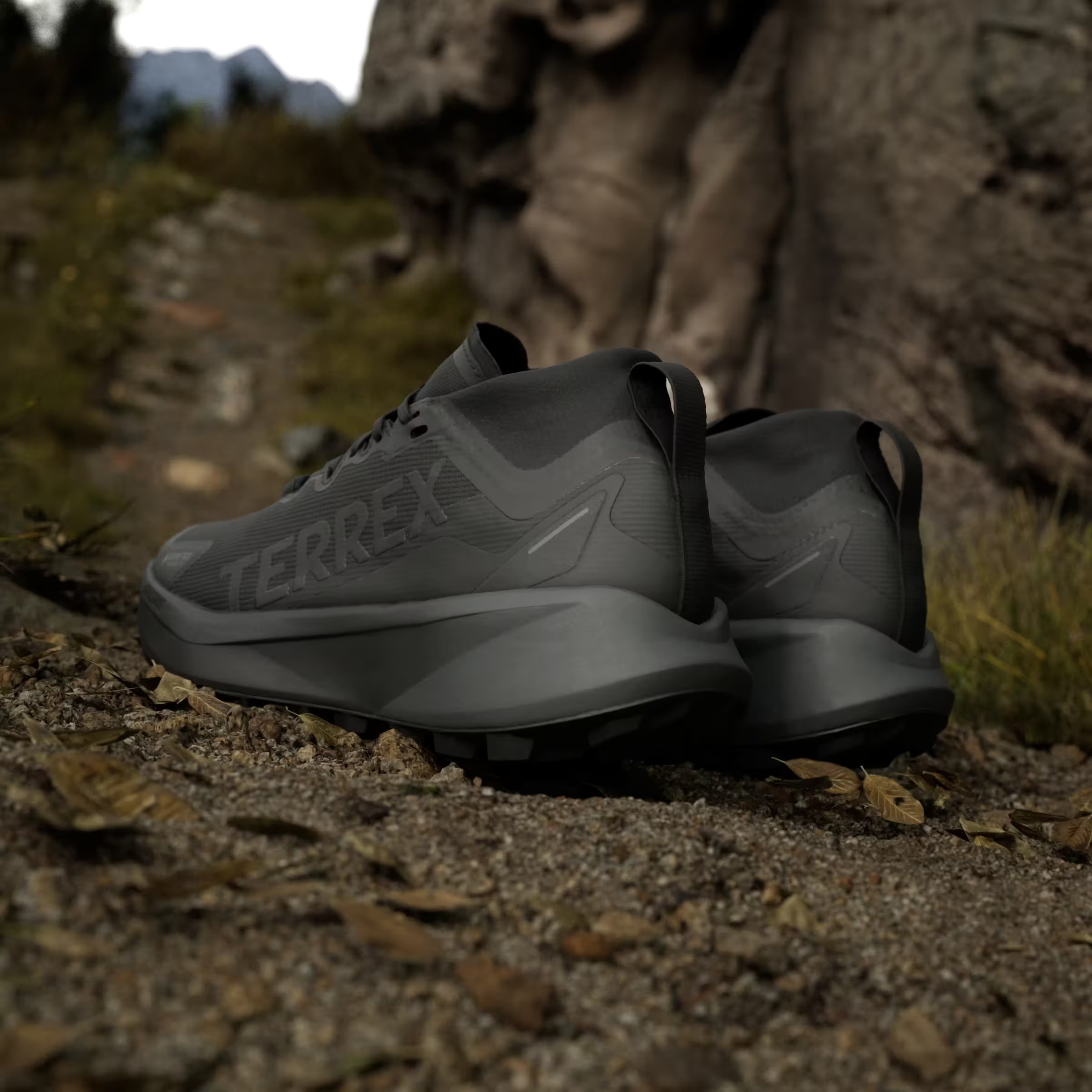 adidas Terrex Agravic Gore-Tex Trail Black Grey Six (Women's)