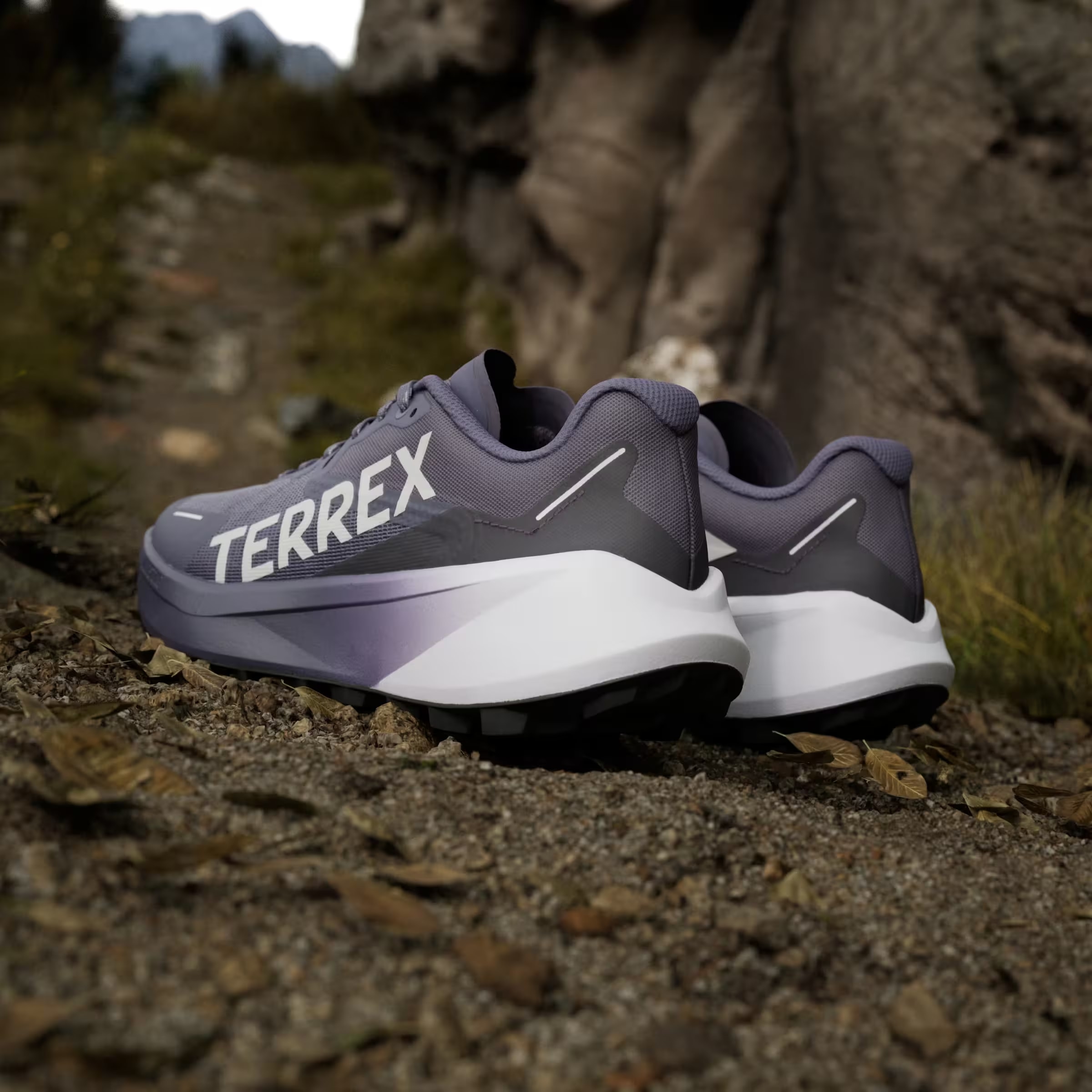 adidas Terrex Agravic 3 Trail Preloved Violet Grey One Powder Plum (Women's)