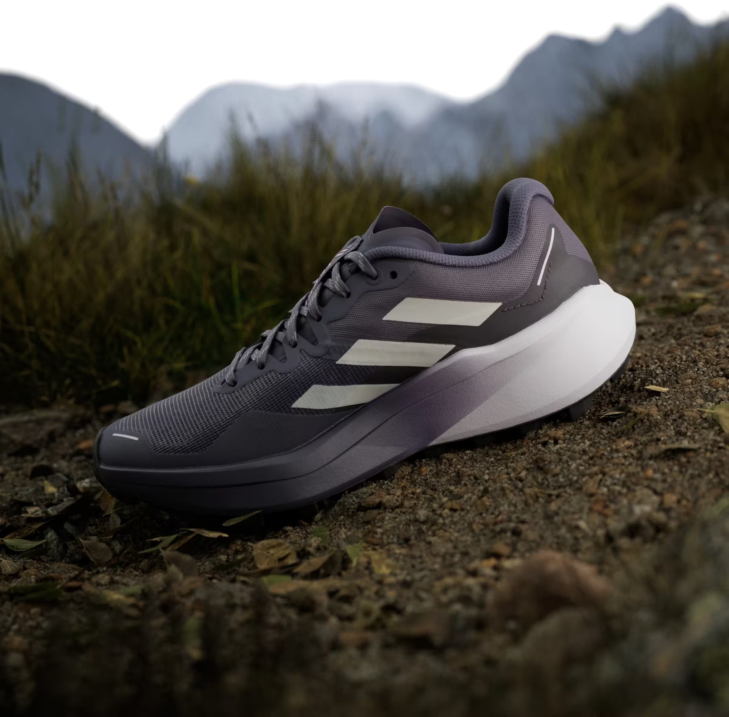 adidas Terrex Agravic 3 Trail Preloved Violet Grey One Powder Plum (Women's)