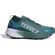 adidas Terrex Agravic Gore-Tex Trail Preloved Teal Cloud White Semi Lucid Blue