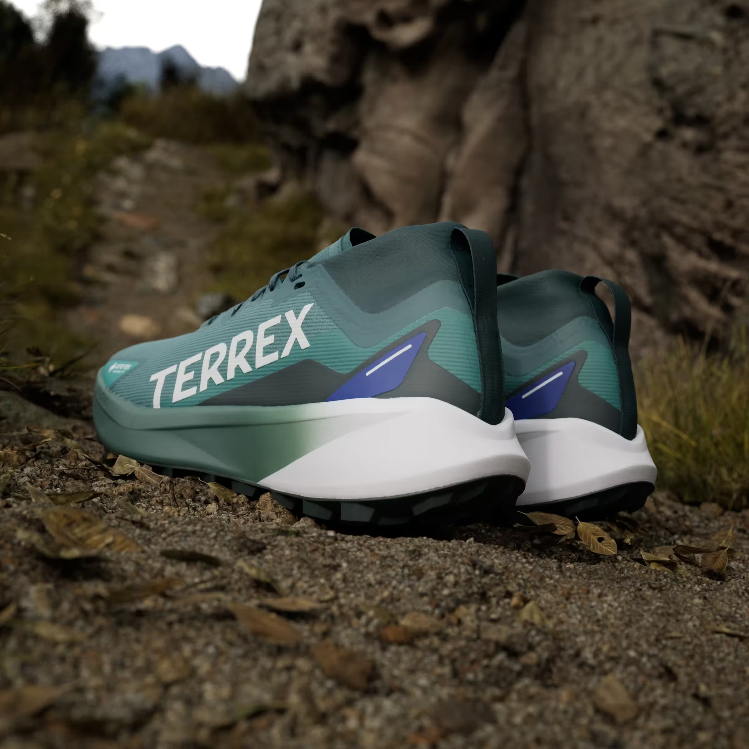 adidas Terrex Agravic Gore-Tex Trail Preloved Teal Cloud White Semi Lucid Blue