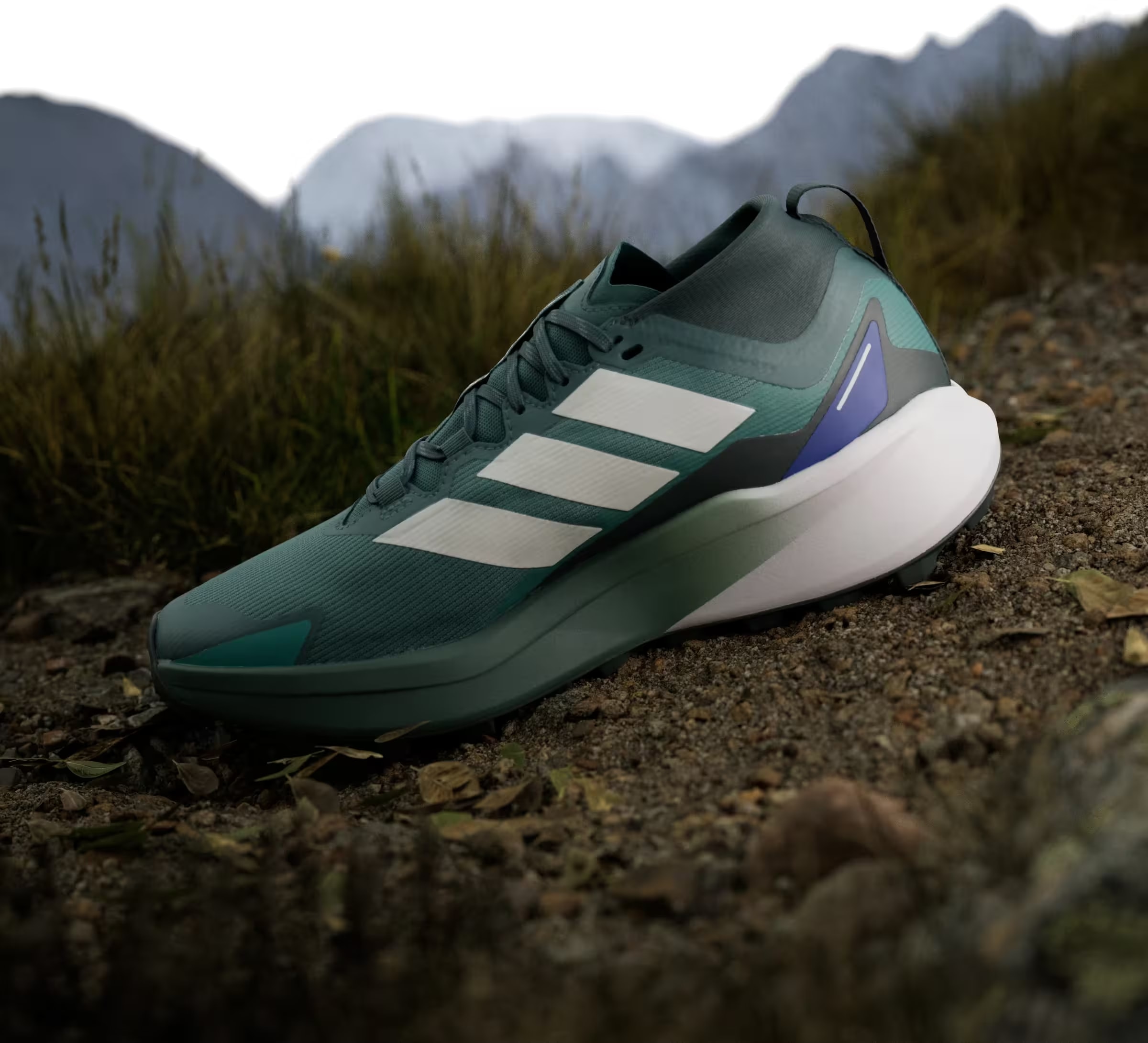 adidas Terrex Agravic Gore-Tex Trail Preloved Teal Cloud White Semi Lucid Blue