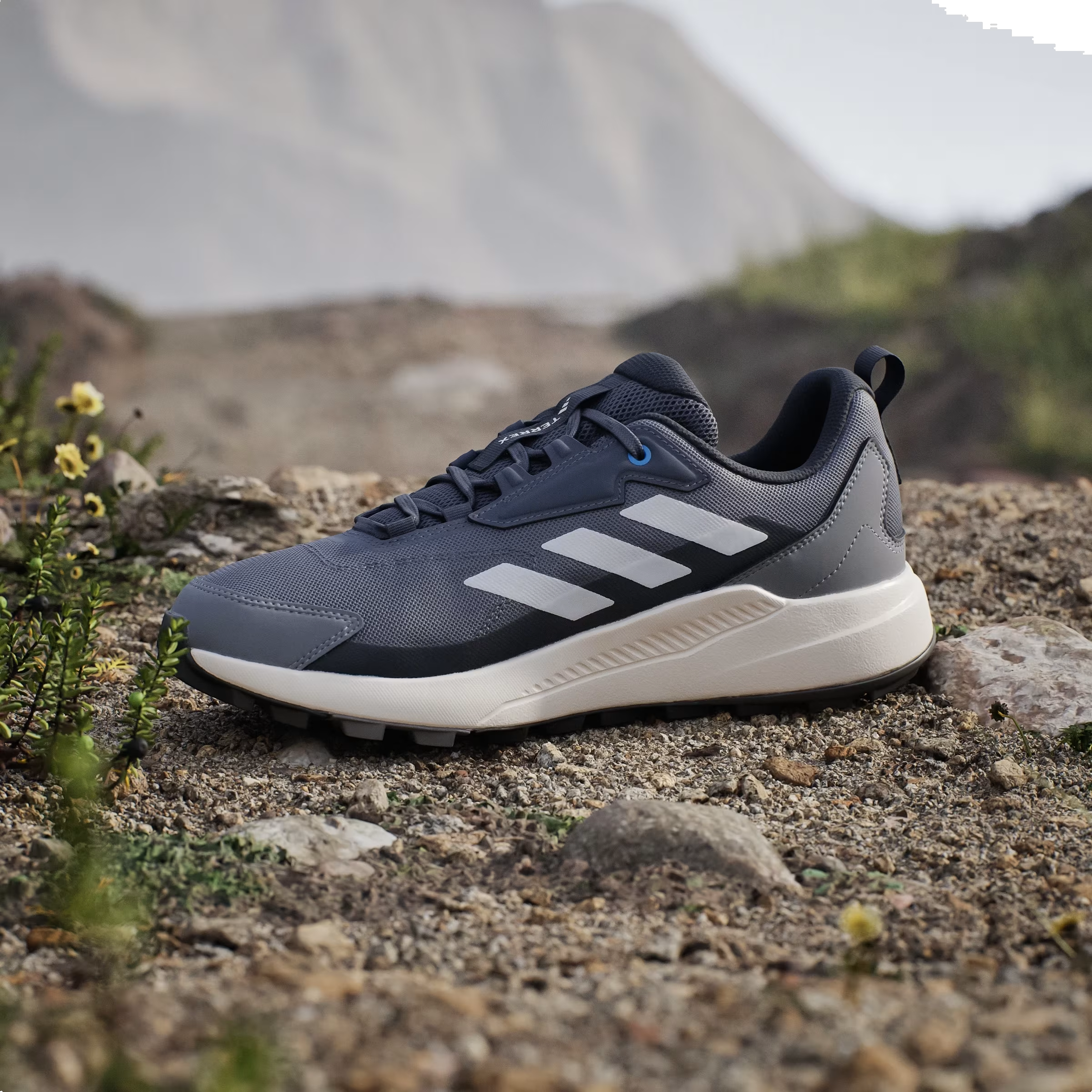 adidas Terrex Anylander