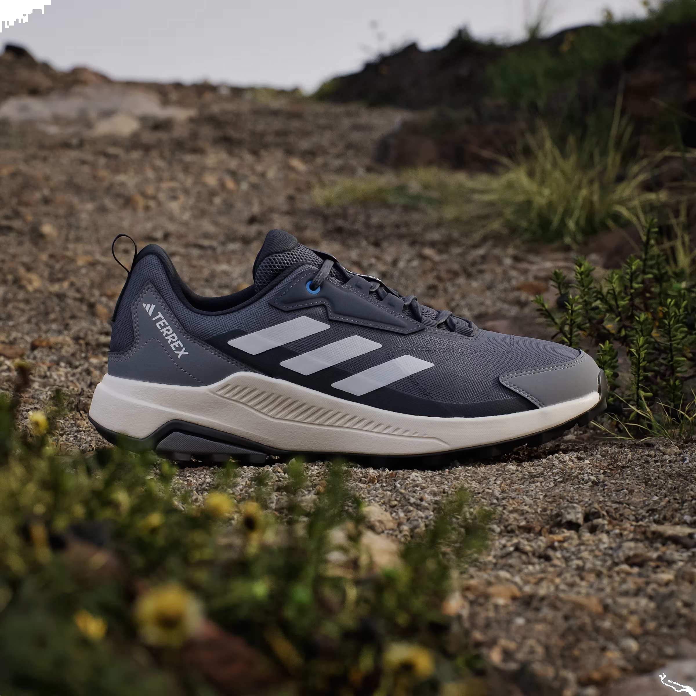 adidas Terrex Anylander