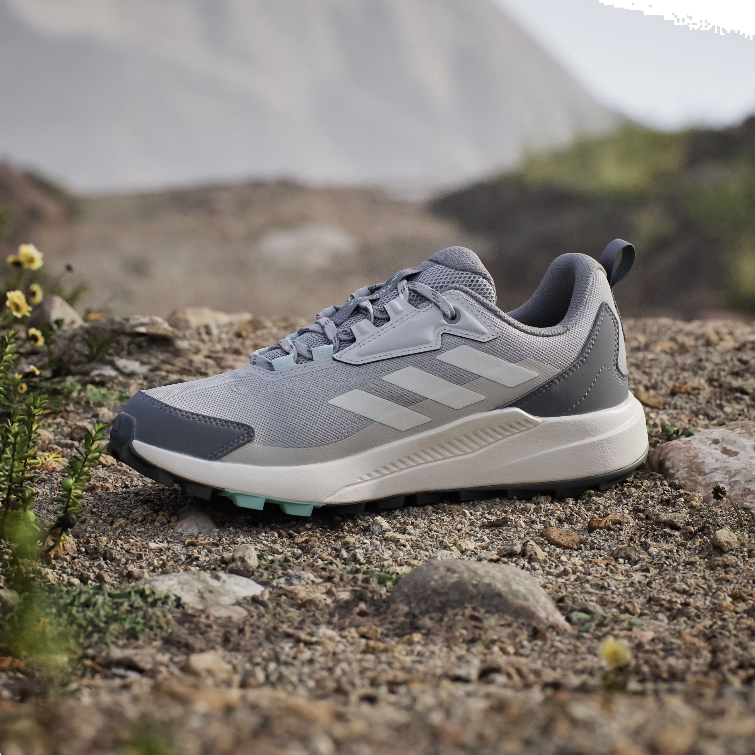 adidas Terrex Anylander