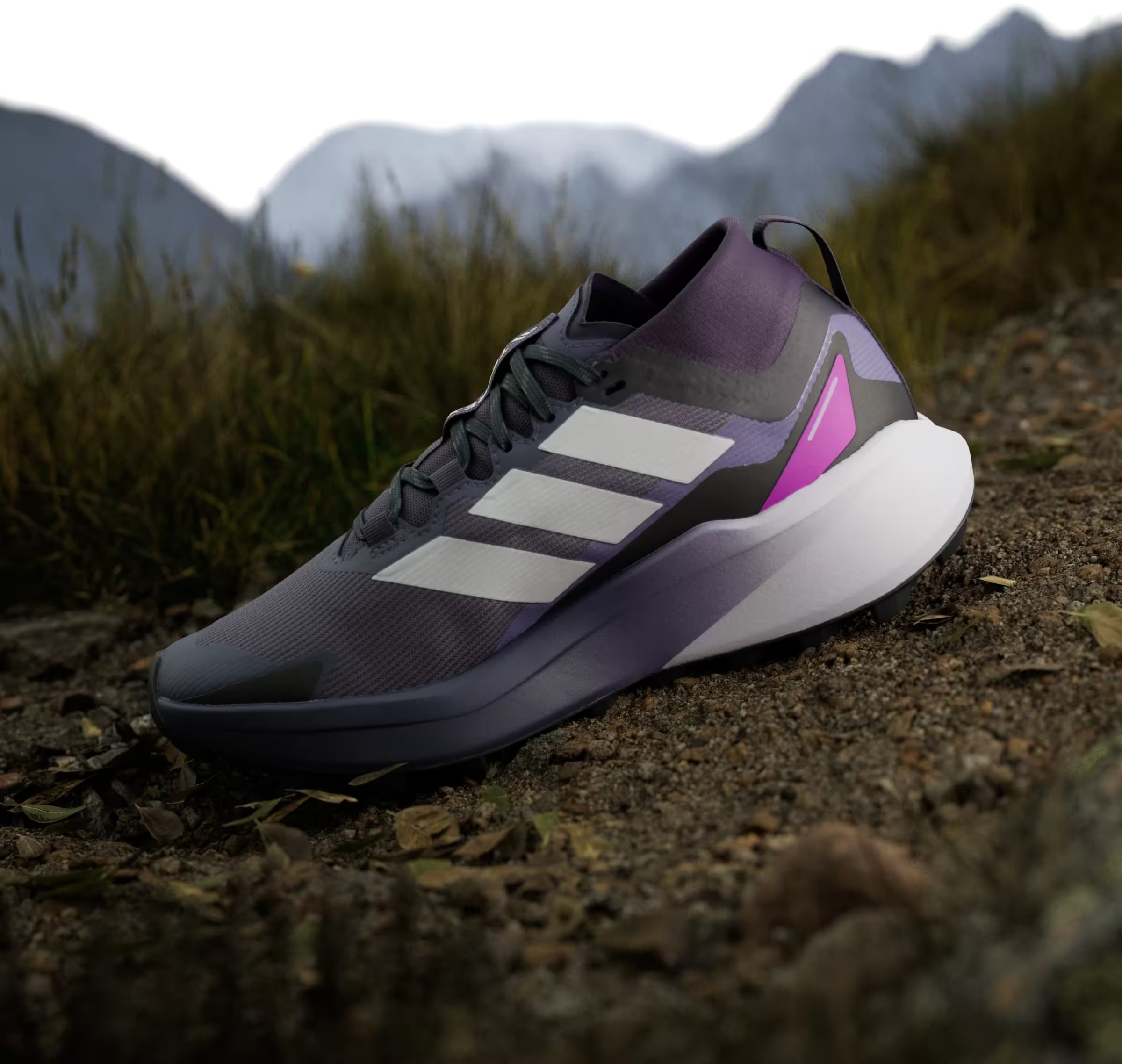 adidas Terrex Agravic Gore-Tex Trail Preloved Violet Cloud White Purple Burst (Women's)
