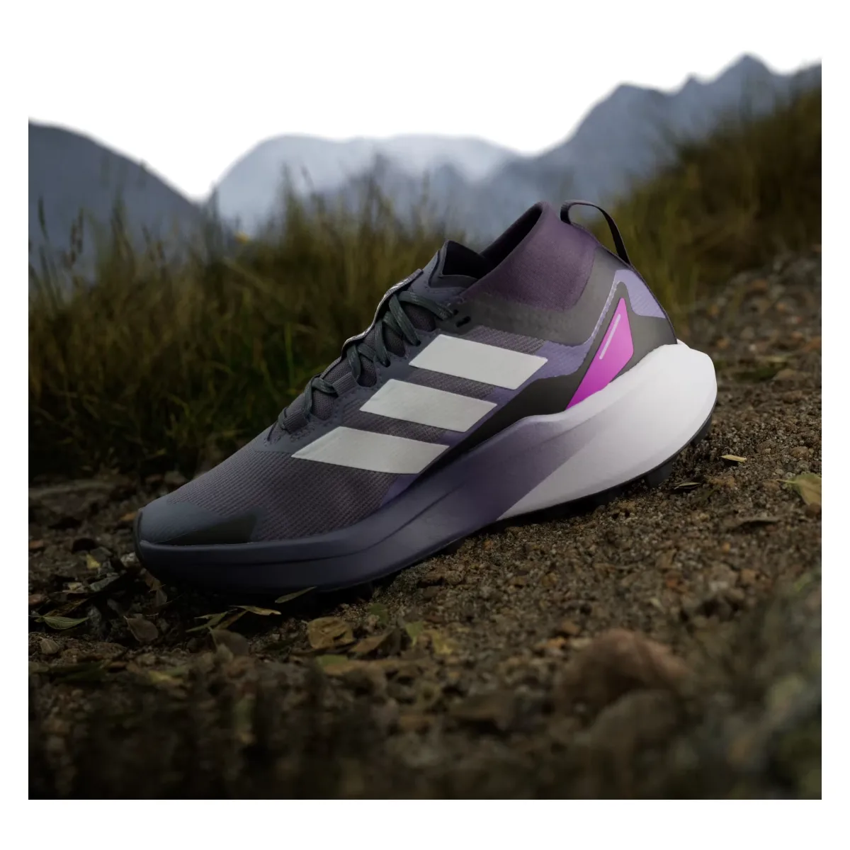 adidas Terrex Agravic Gore-Tex Trail Preloved Violet Cloud White Purple Burst (Women's)