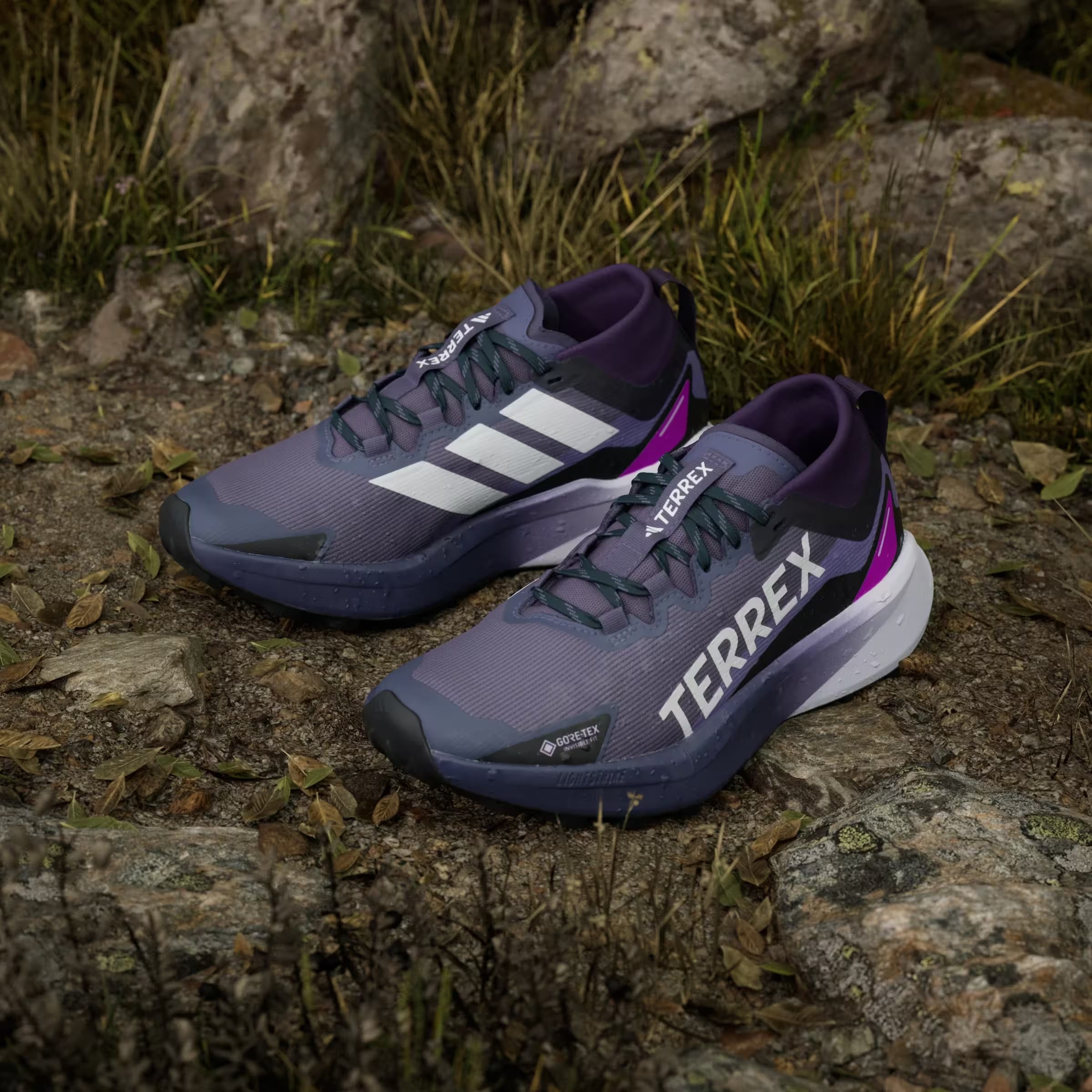 adidas Terrex Agravic Gore-Tex Trail Preloved Violet Cloud White Purple Burst (Women's)