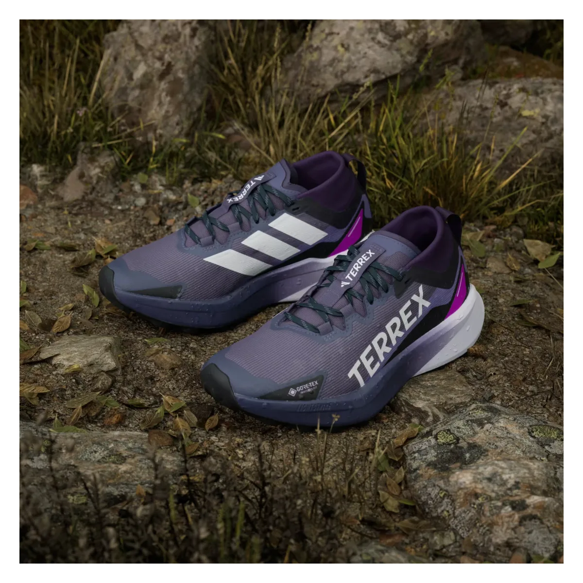 adidas Terrex Agravic Gore-Tex Trail Preloved Violet Cloud White Purple Burst (Women's)