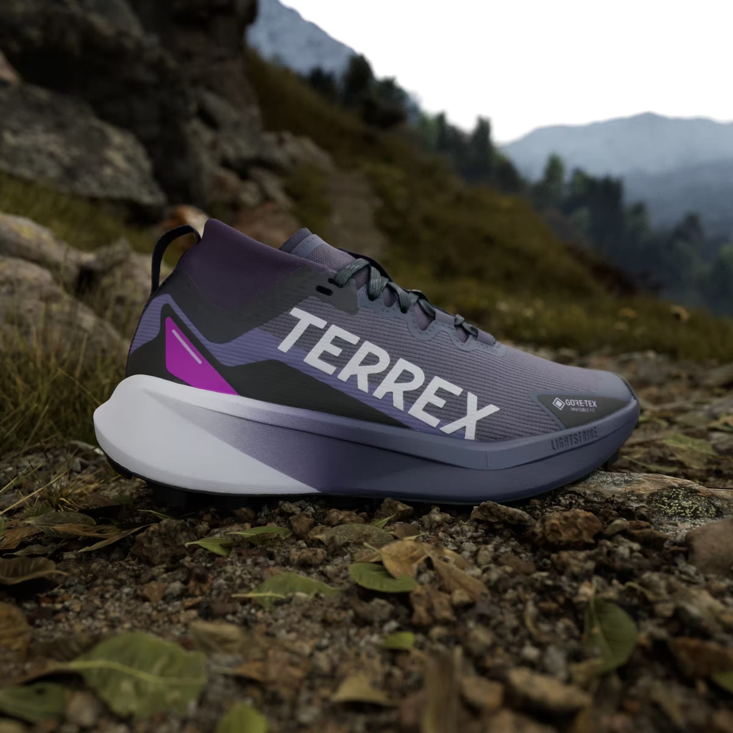 adidas Terrex Agravic Gore-Tex Trail Preloved Violet Cloud White Purple Burst (Women's)