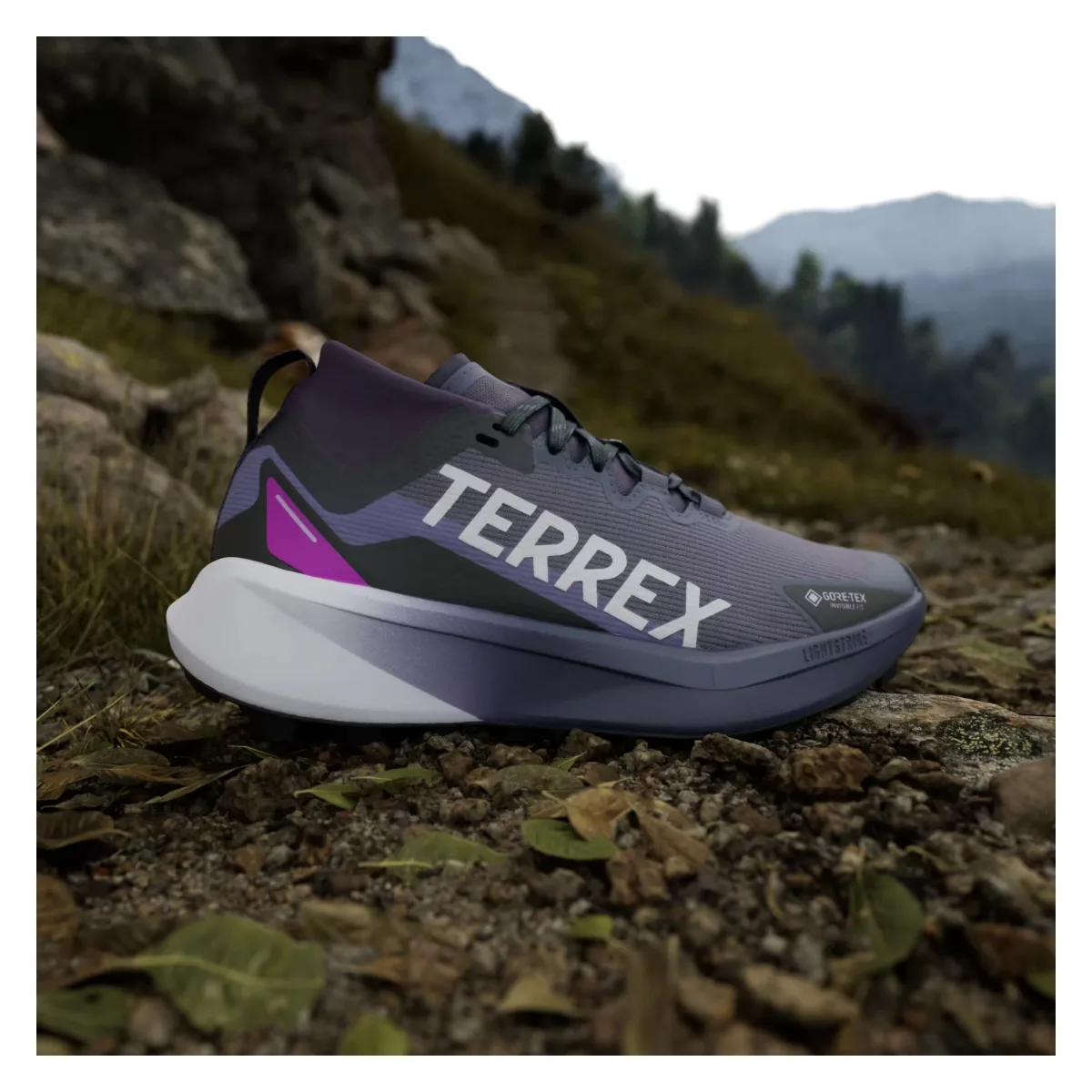 adidas Terrex Agravic Gore-Tex Trail Preloved Violet Cloud White Purple Burst (Women's)