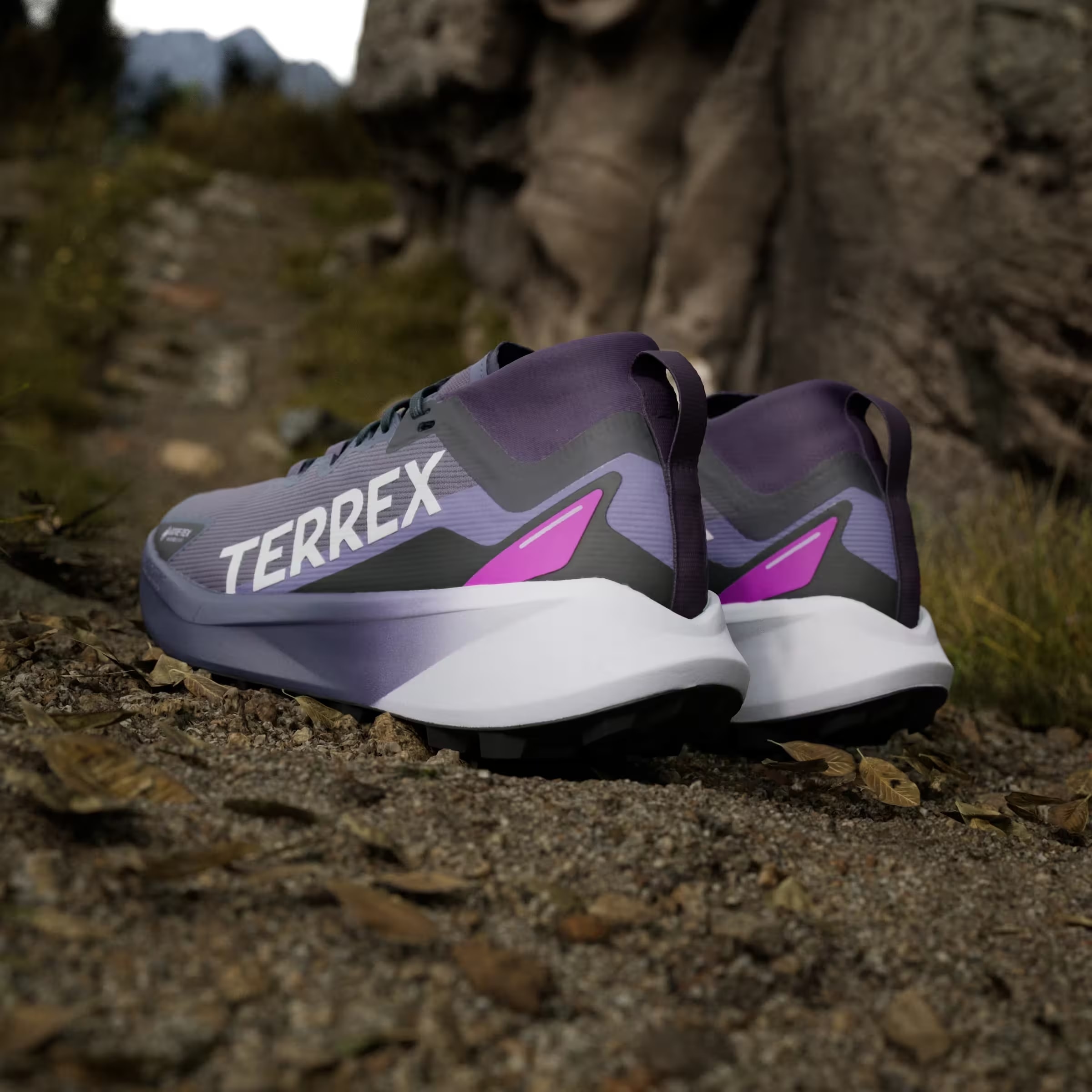 adidas Terrex Agravic Gore-Tex Trail Preloved Violet Cloud White Purple Burst (Women's)