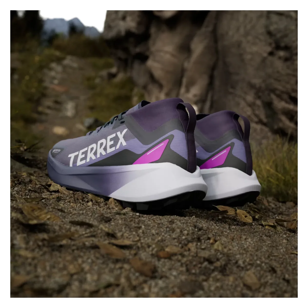 adidas Terrex Agravic Gore-Tex Trail Preloved Violet Cloud White Purple Burst (Women's)