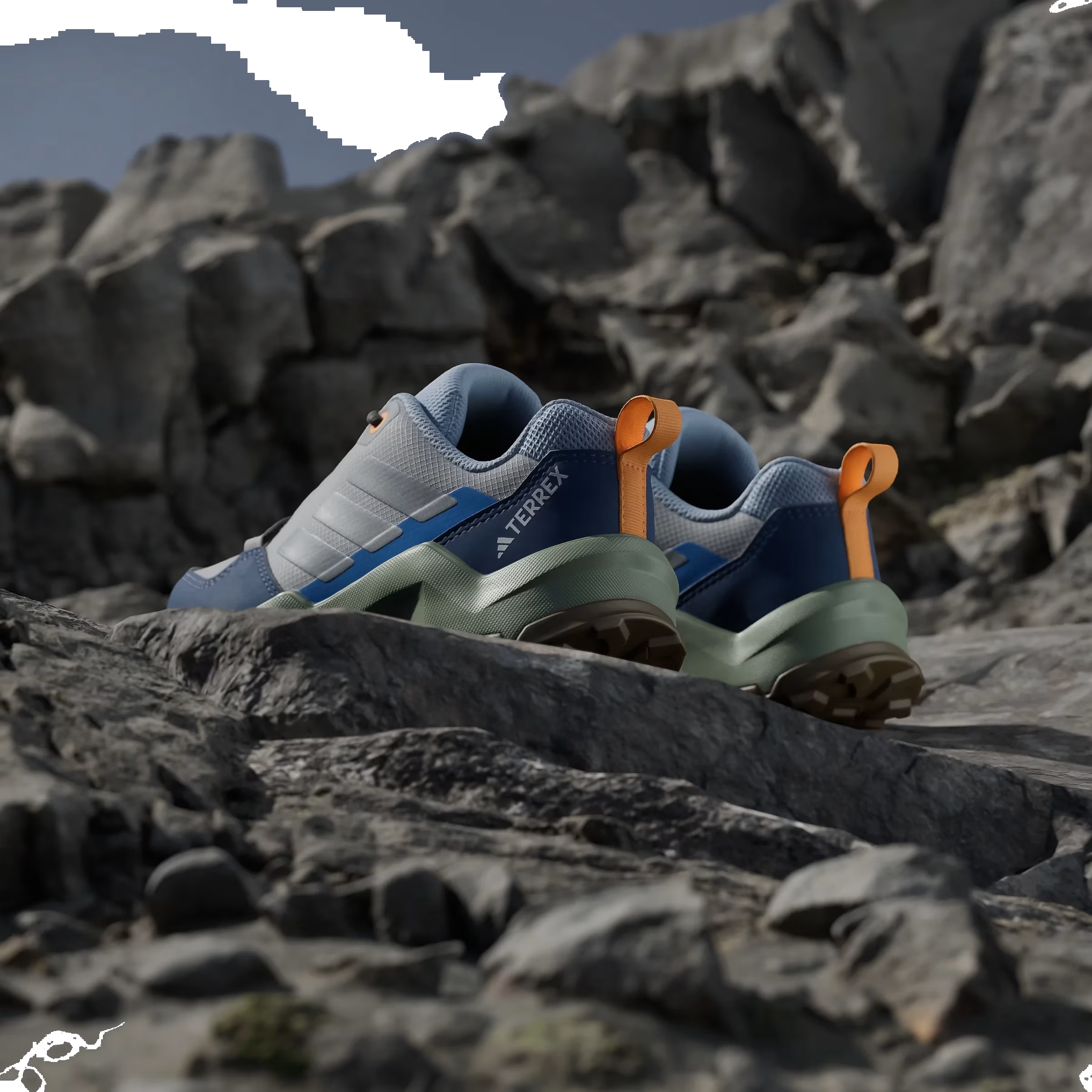 adidas Terrex AX4R