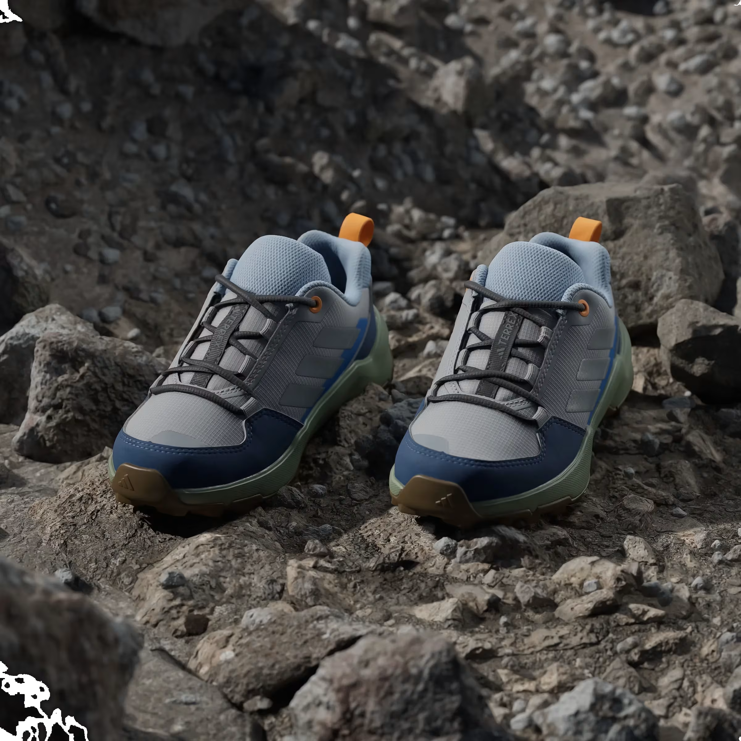 adidas Terrex AX4R