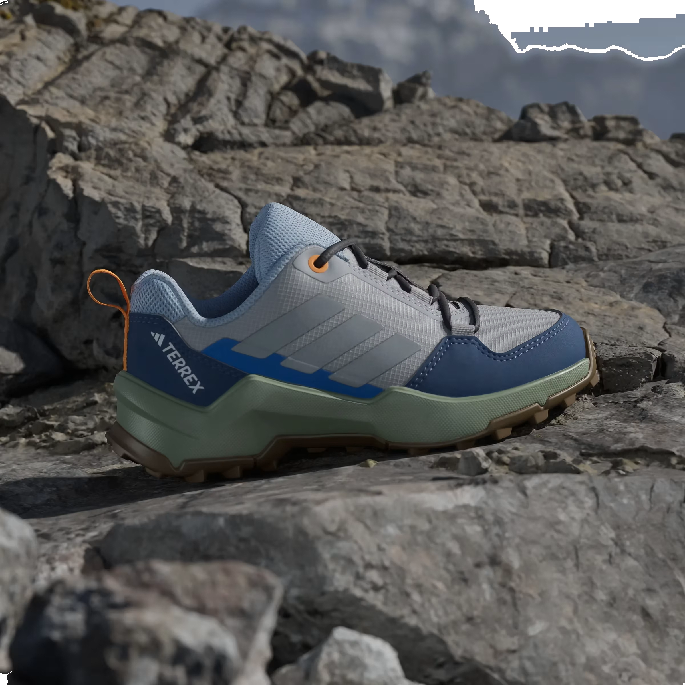adidas Terrex AX4R