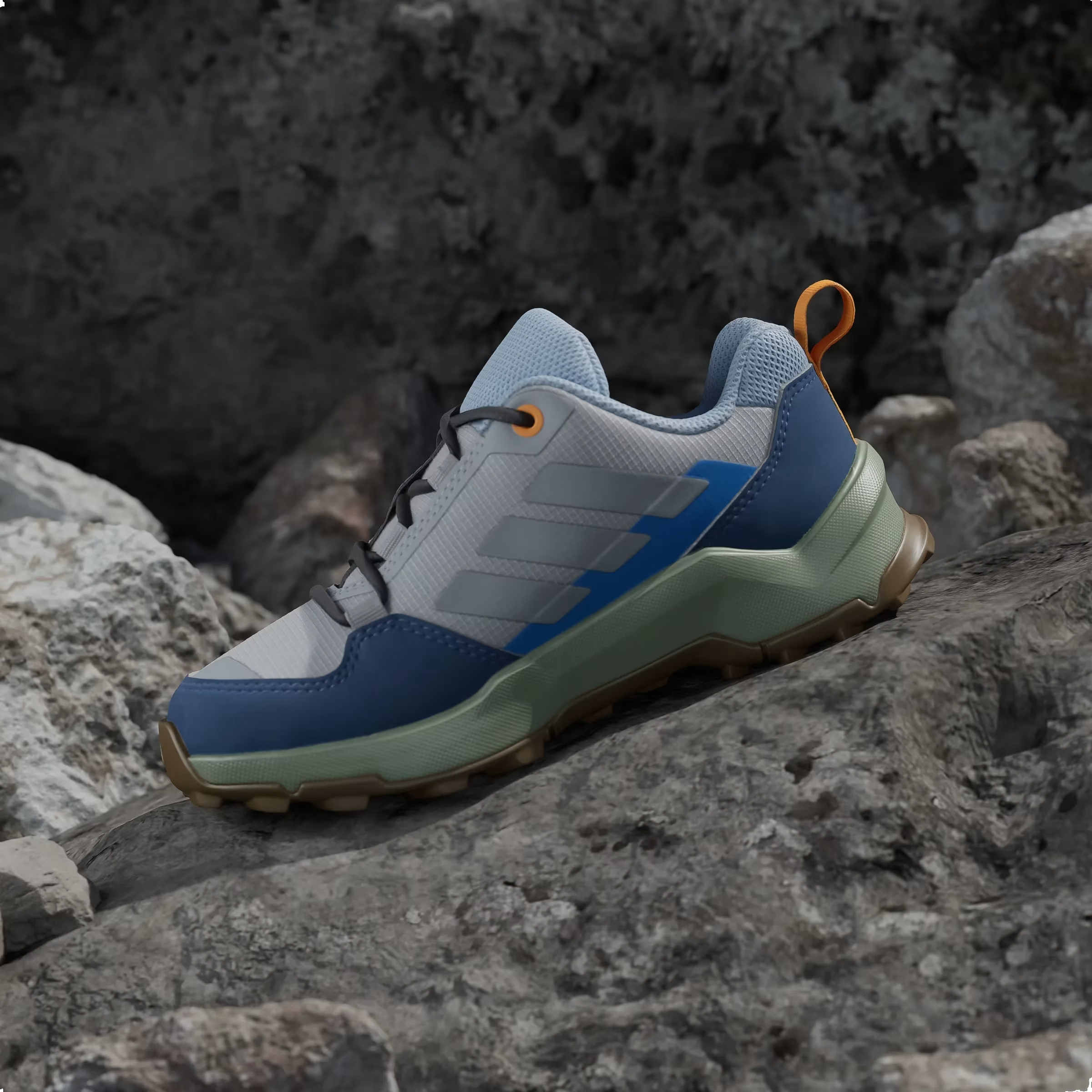adidas Terrex AX4R