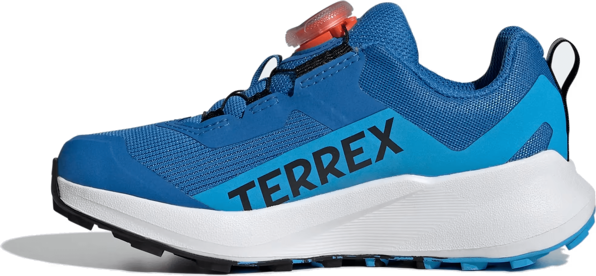 adidas Terrex Agravic BOA