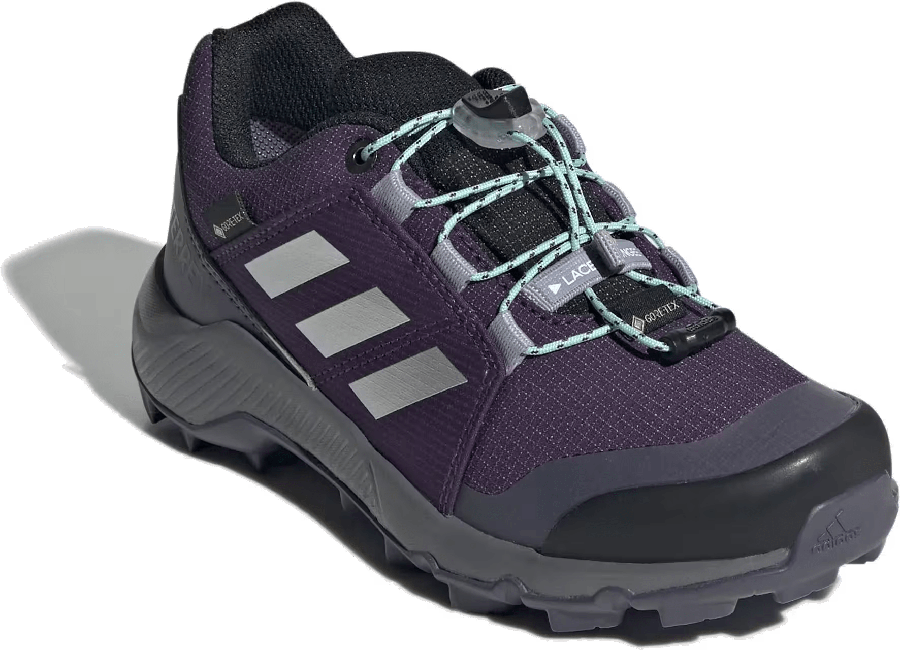 adidas Terrex Gore-Tex Aurora Plum Silver Metallic Semi Flash Aqua (GS)