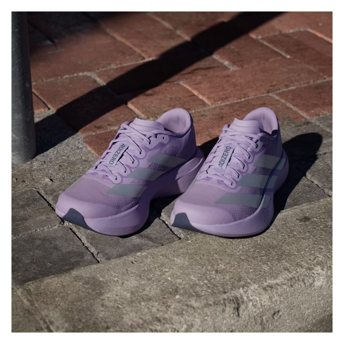 adidas Adizero Evo SL Powder Plum Zero Metalic (Women's)