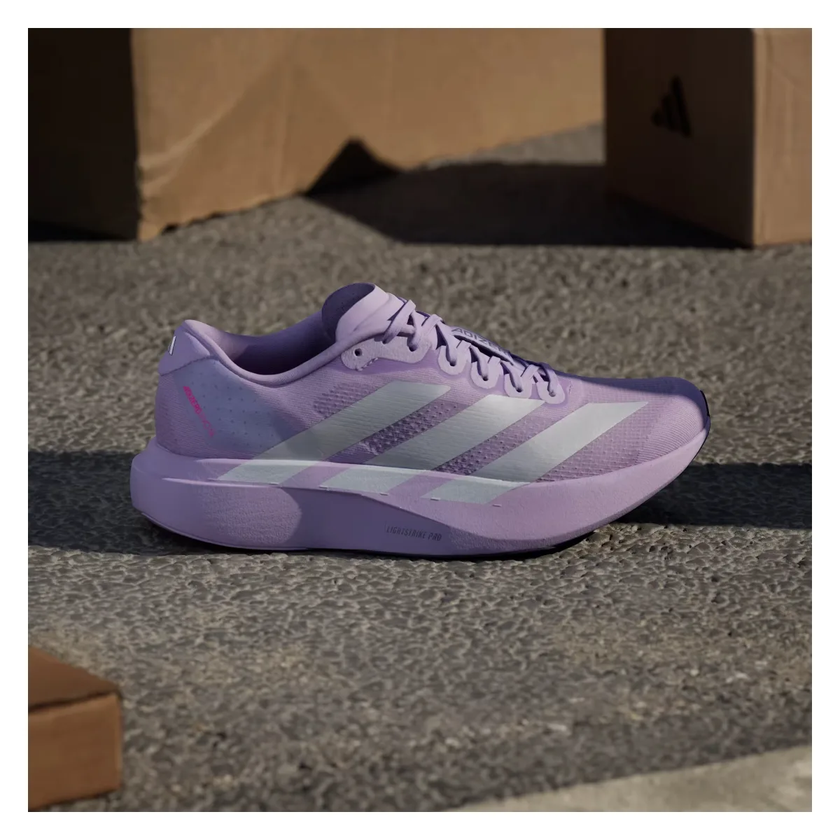 adidas Adizero Evo SL Powder Plum Zero Metalic (Women's)