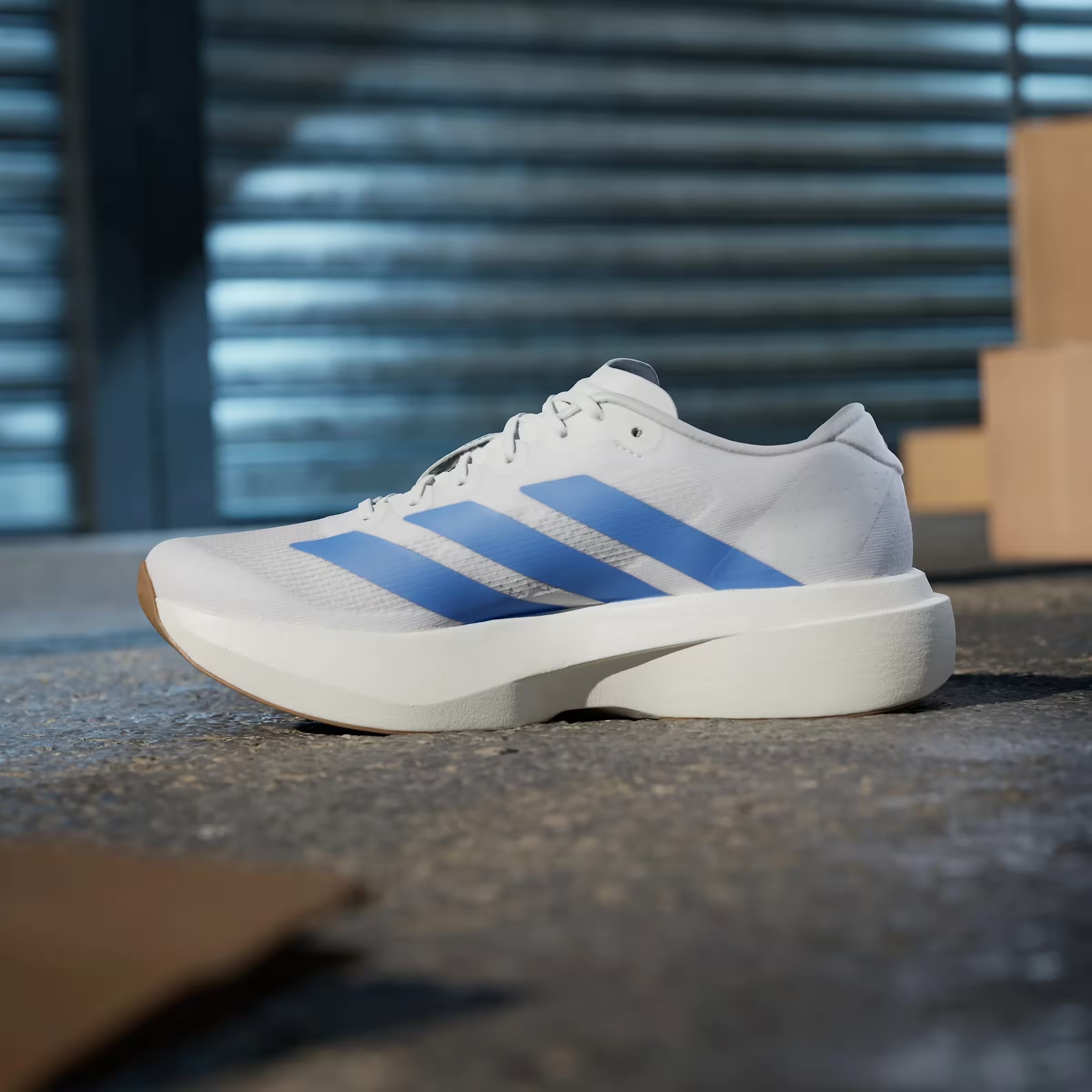 adidas Adizero Evo SL White Blue Fusion (Women's)