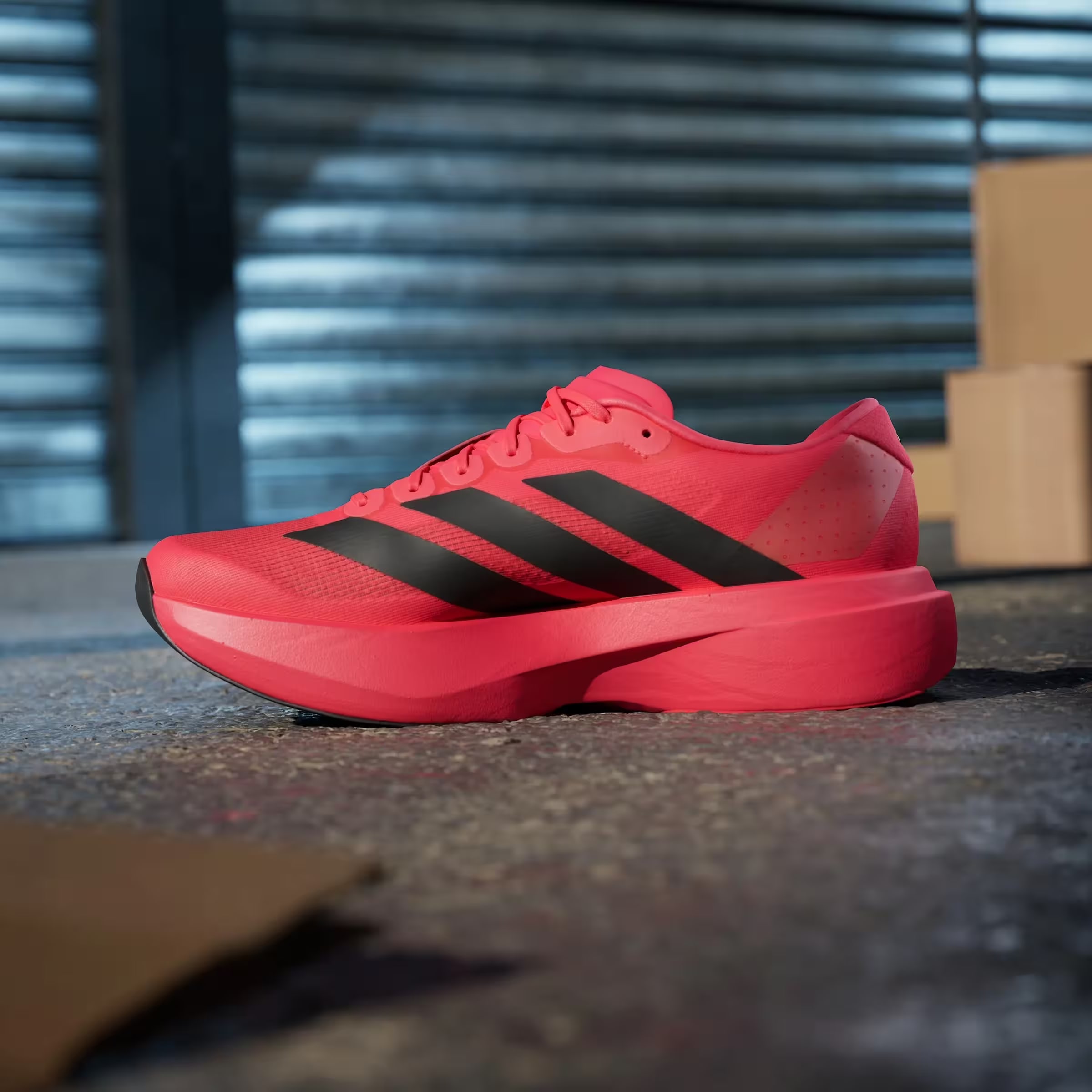adidas Adizero Evo SL Lucid Red Black
