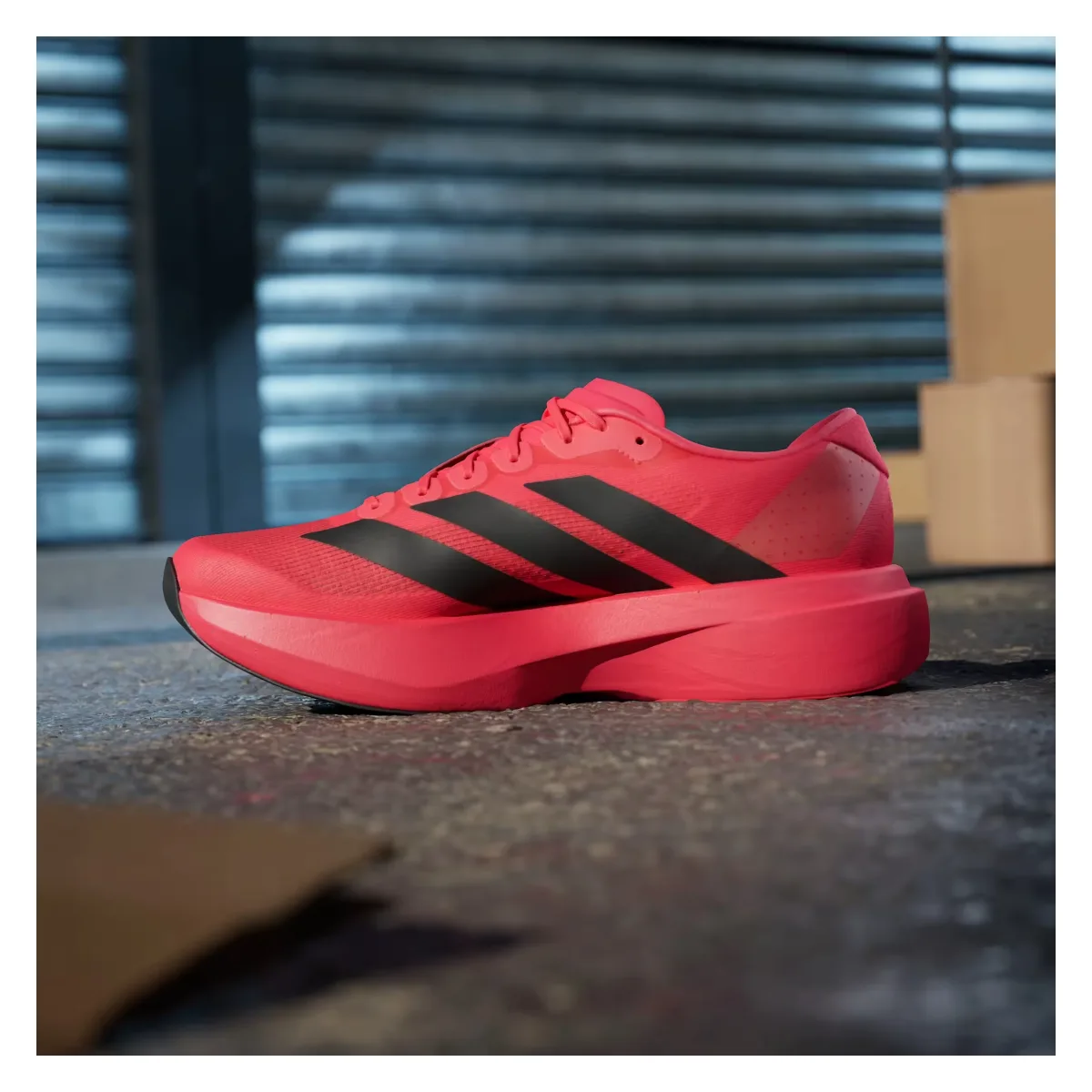 adidas Adizero Evo SL Lucid Red Black