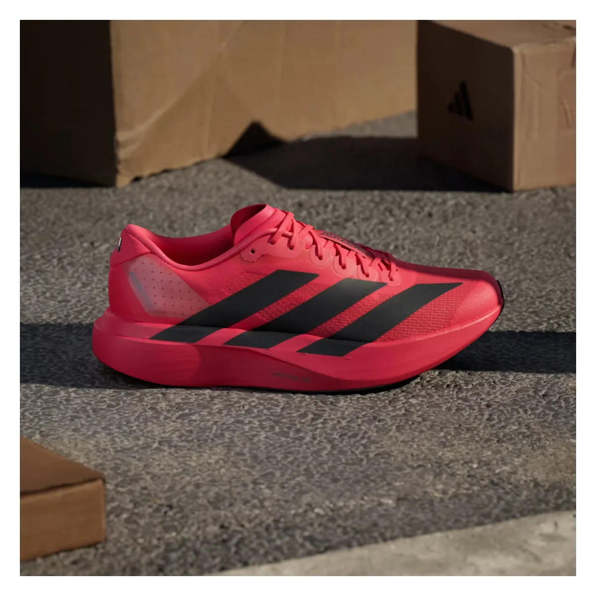 adidas Adizero Evo SL Lucid Red Black