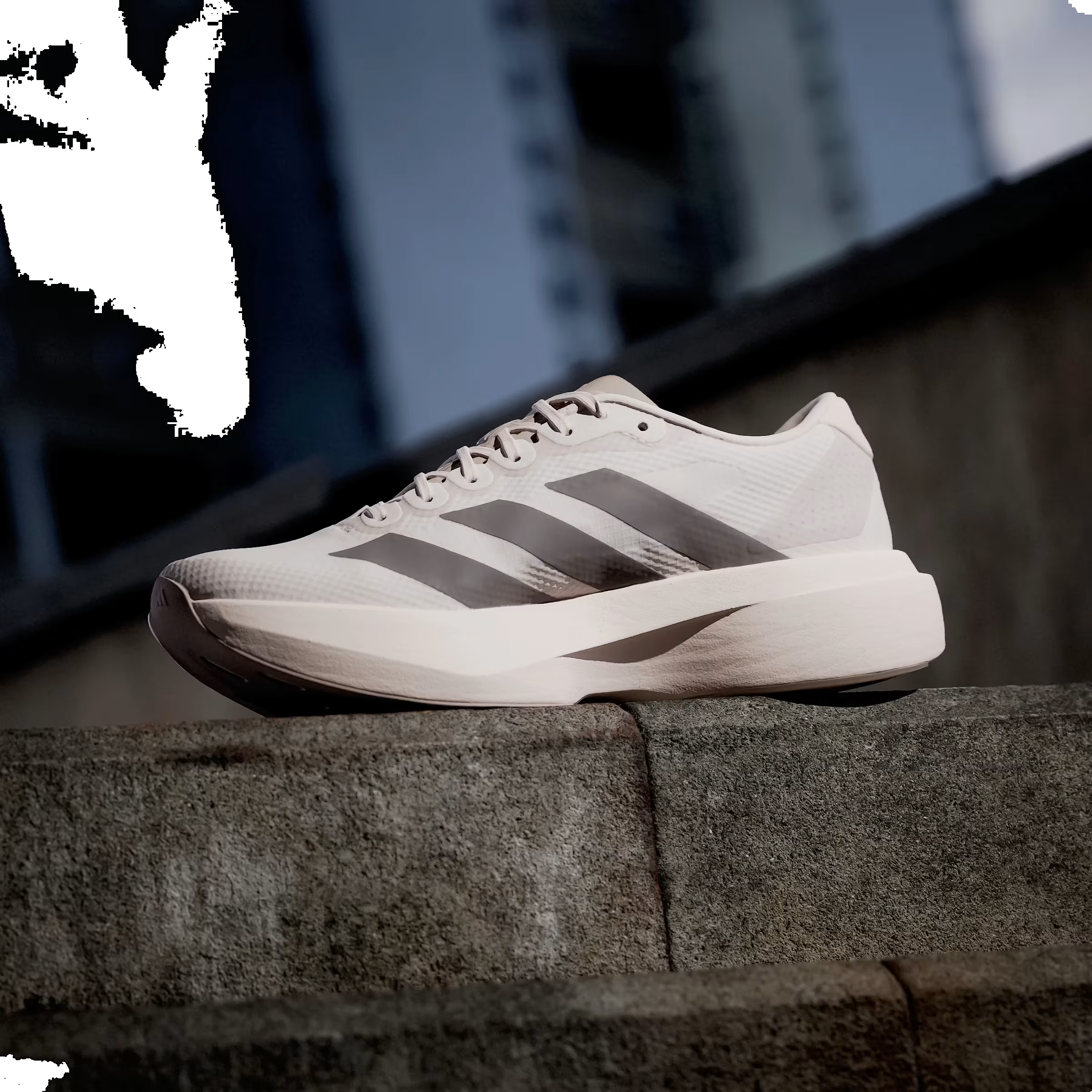 adidas Adizero Evo SL Putty Mauve Charcoal (Women's)