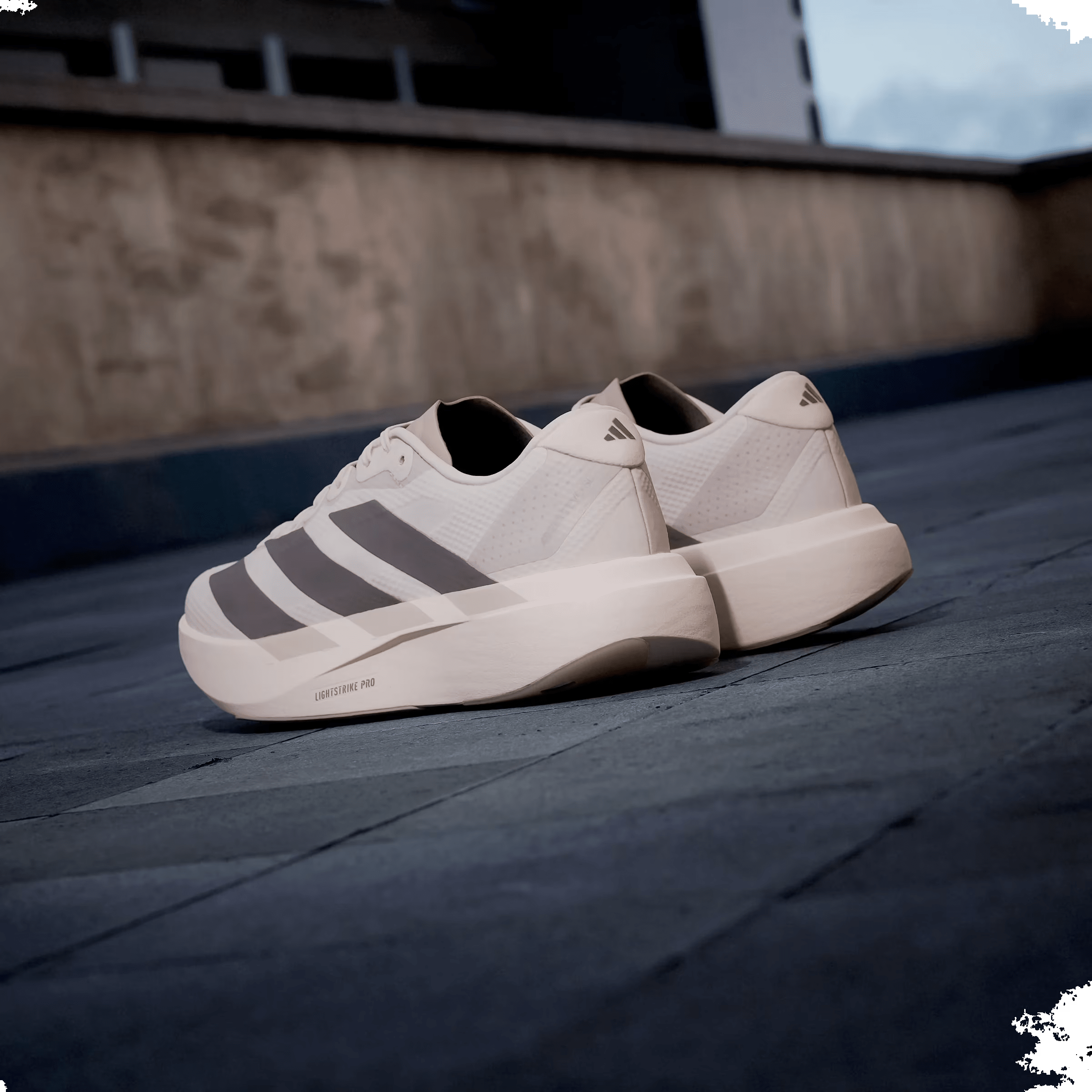 adidas Adizero Evo SL Putty Mauve Charcoal (Women's)