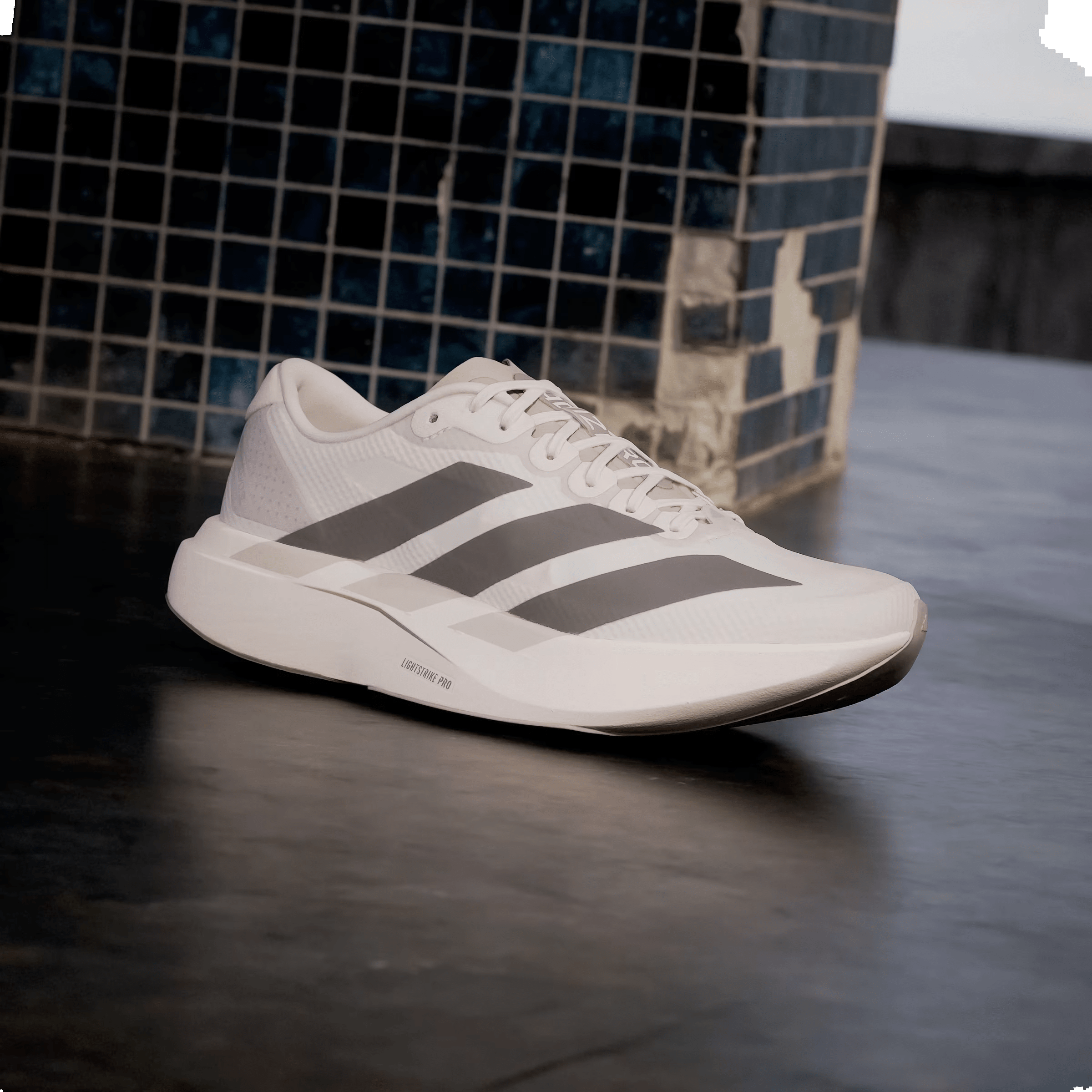 adidas Adizero Evo SL Putty Mauve Charcoal (Women's)