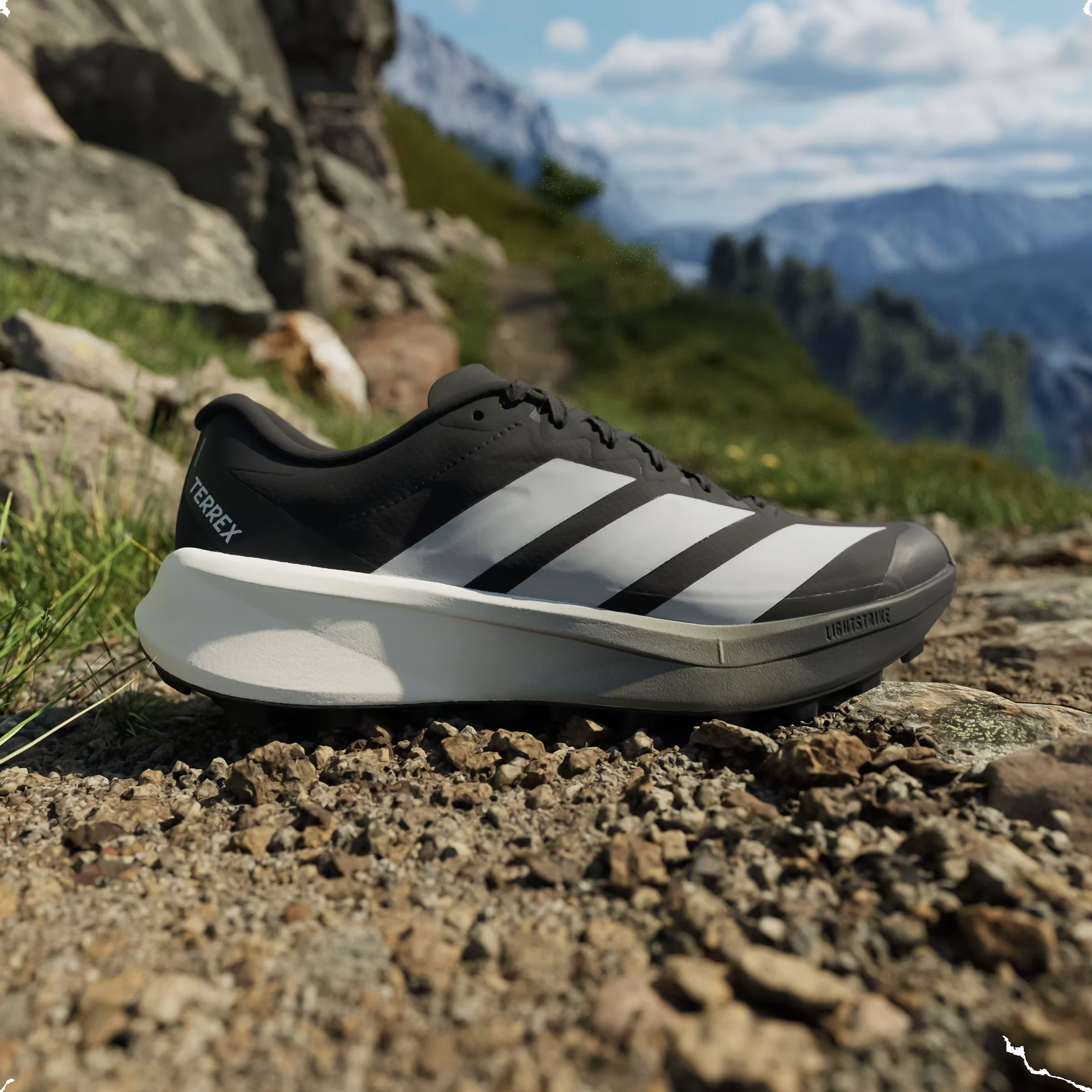 adidas Terrex Agravic 4