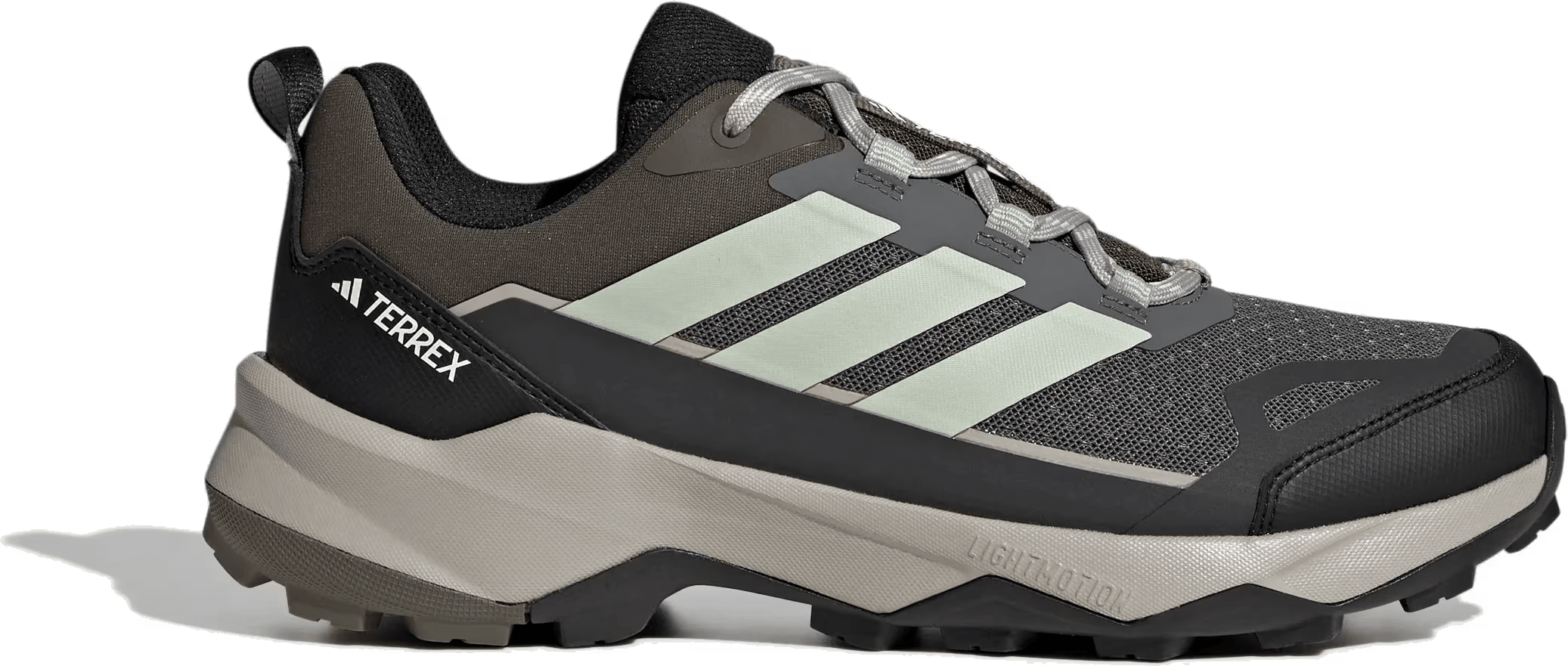 adidas Terrex Skychaser Ax5