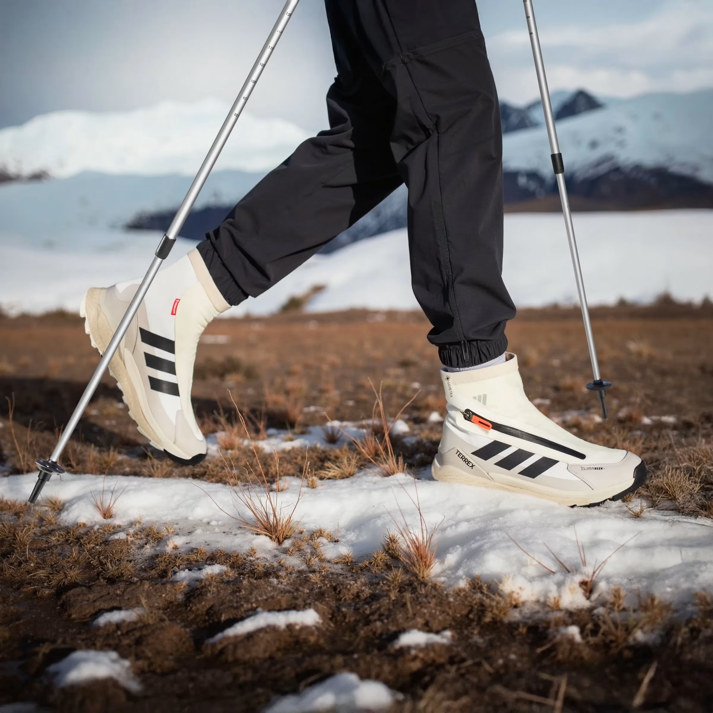 adidas Terrex Free Hiker 2 GTX Climawarm+