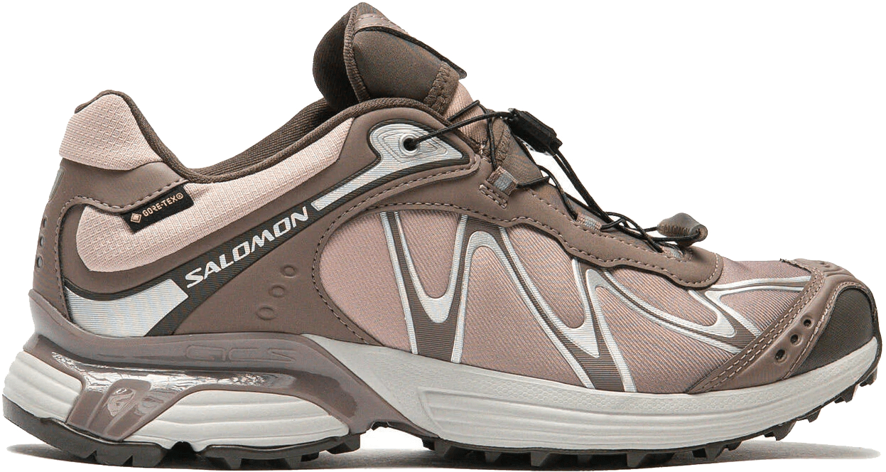 Salomon XT-Whisper Gore-Tex "Iron"