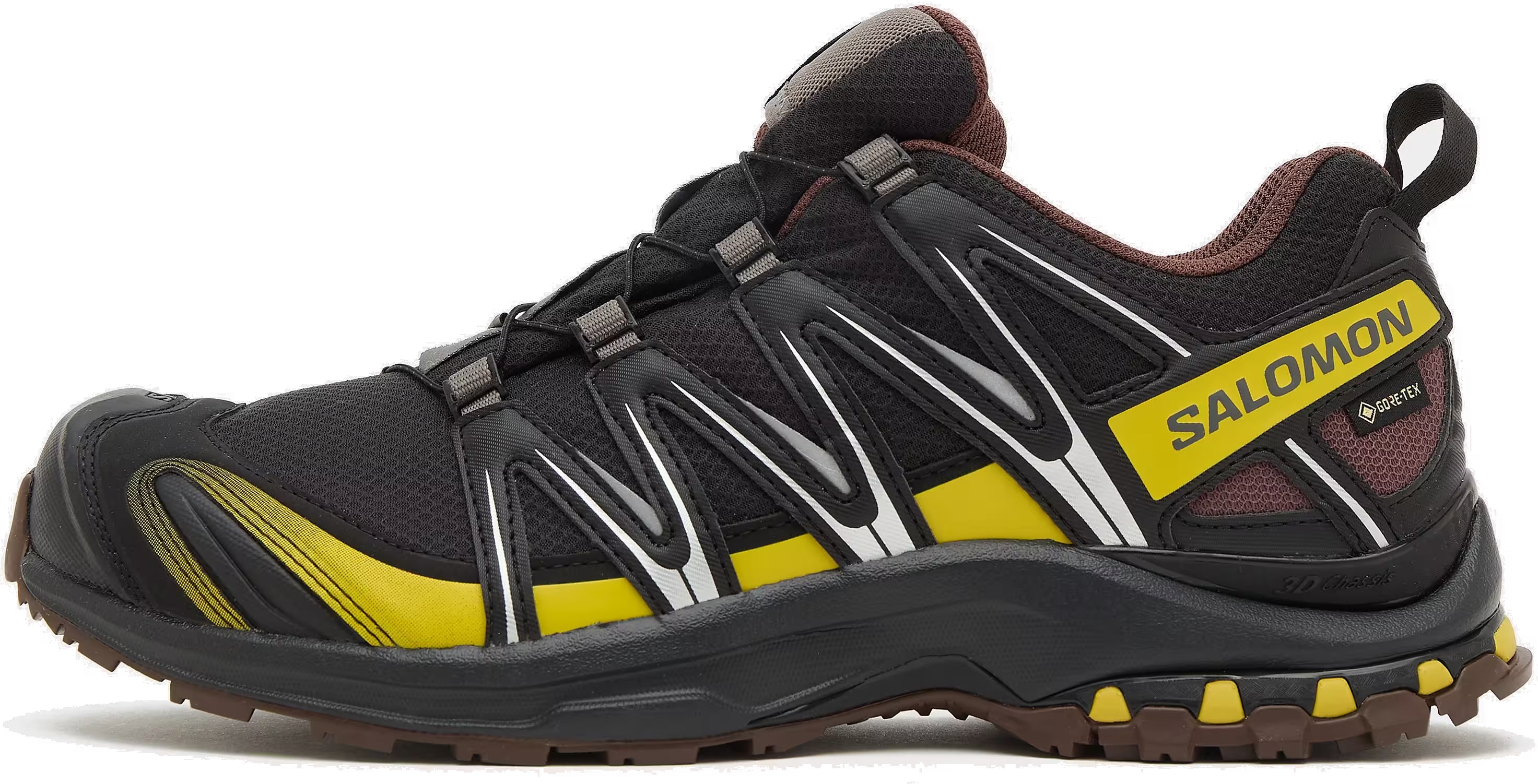 Salomon XA Pro 3D Gore-Tex Cress Green French Roast