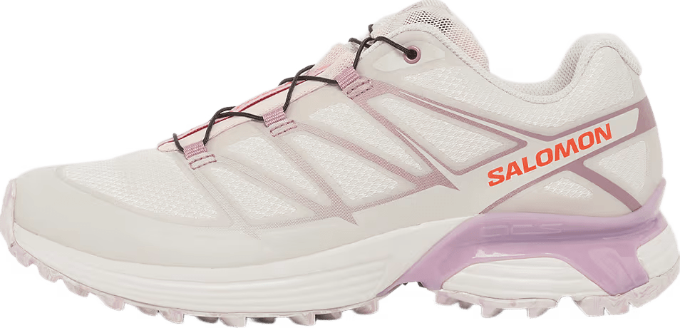 Salomon XT-6