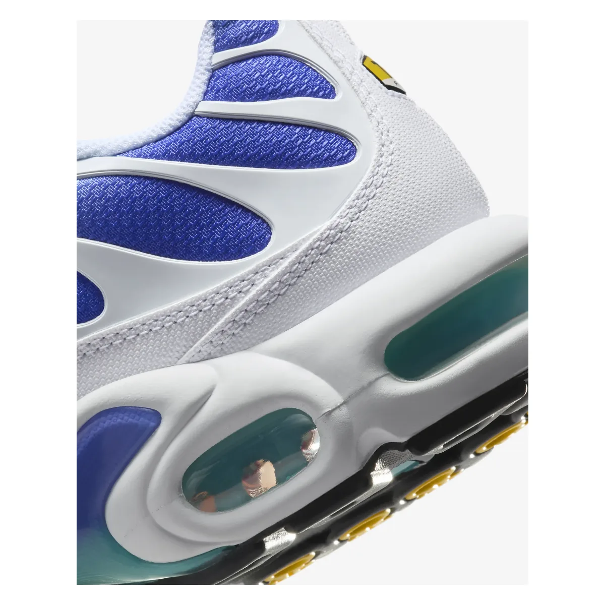 Nike Air Max Plus "Aqua"