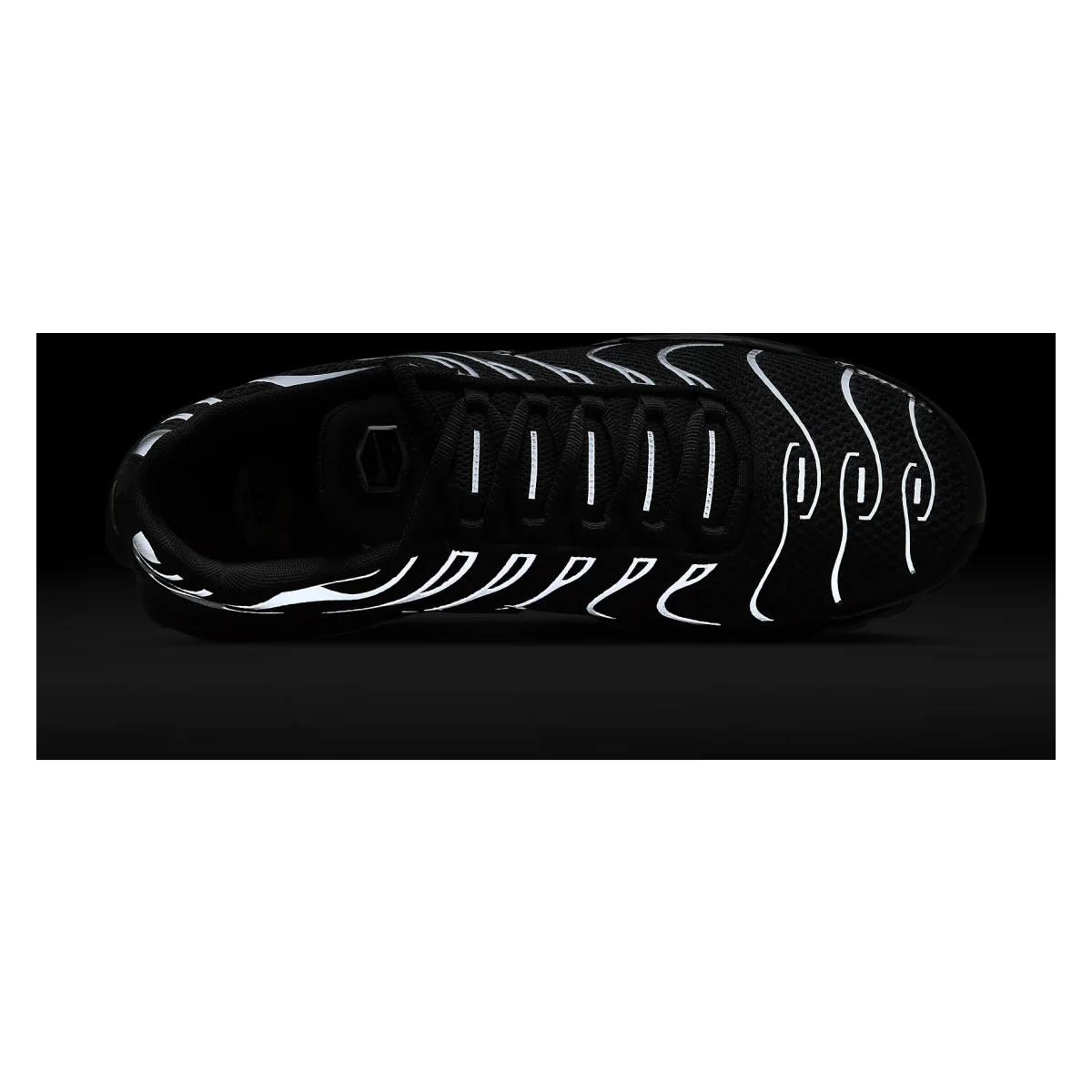 Nike Air Max Plus Premium "Black Metallic Silver"