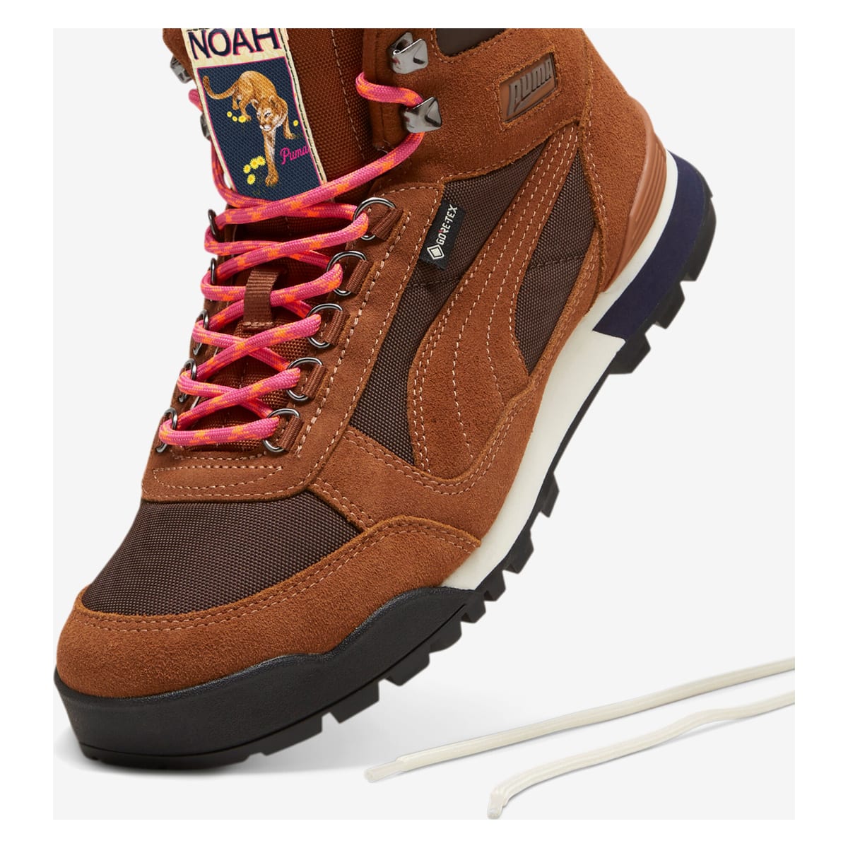 Noah x Gore-Tex x Puma RDR "Mahogany"