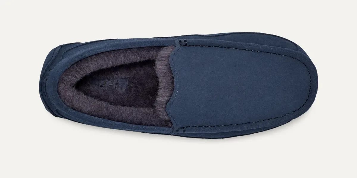 UGG Ascot Pantoffel Heren "Deep Ocean"