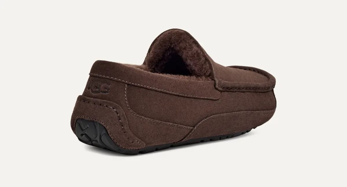 UGG Ascot Pantoffel Heren "Dusted Cocoa"
