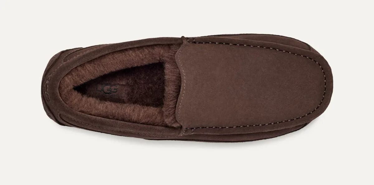 UGG Ascot Pantoffel Heren "Dusted Cocoa"