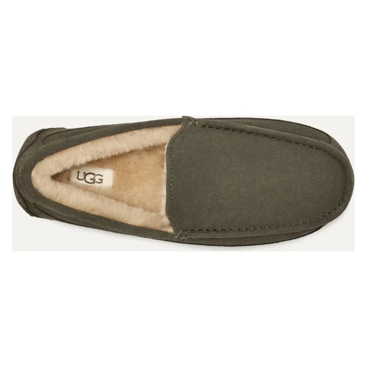 UGG Ascot Pantoffel Heren "Forest Night"