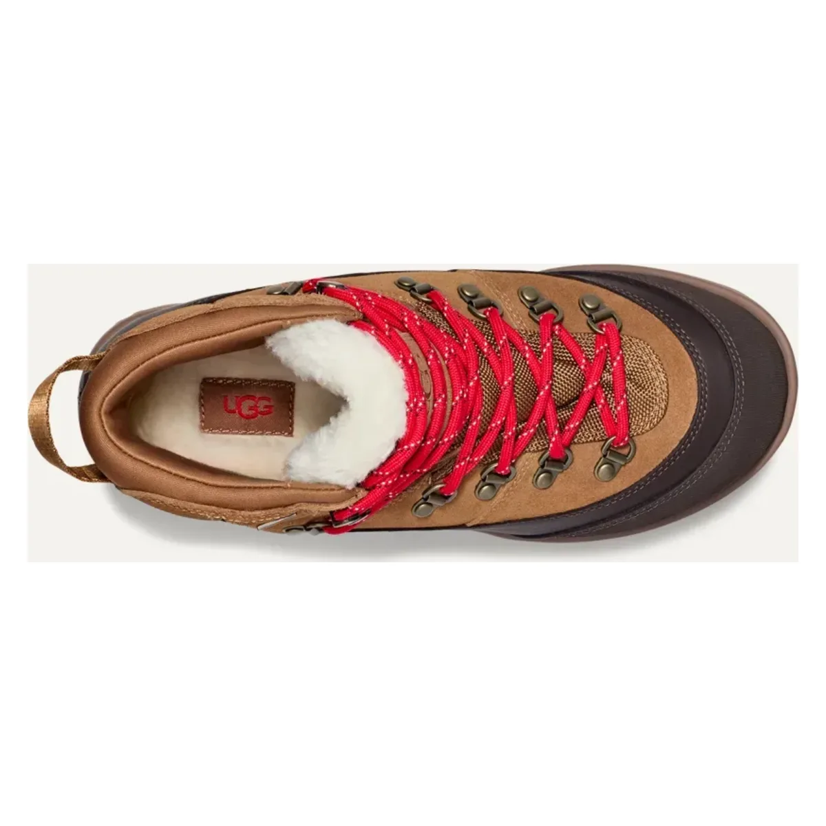 UGG Brecken Lace Laars Dames "Chestnut"