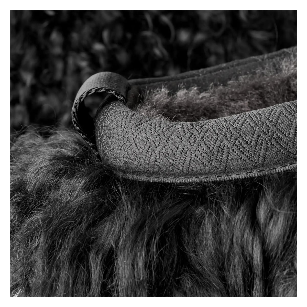 UGG Tazz Fluff Momma "Black"