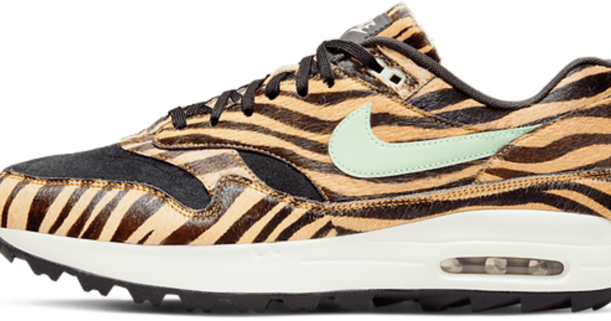 Encommium Икономика фонтан nike schoenen dames tijgerprint - madeinpga.com